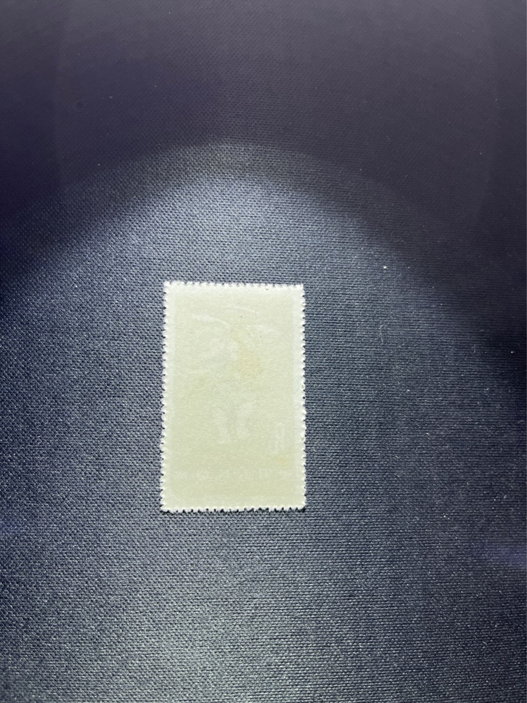 洪涛臻品 精选邮票限时拍卖第四十四期 特54儿童 盖销 12-8   一 枚，版撕全品嘎嘎绝， 面艳背白，生口，非常漂亮，热门票，草纸小票折痕多，全品数量有限，注意捡漏