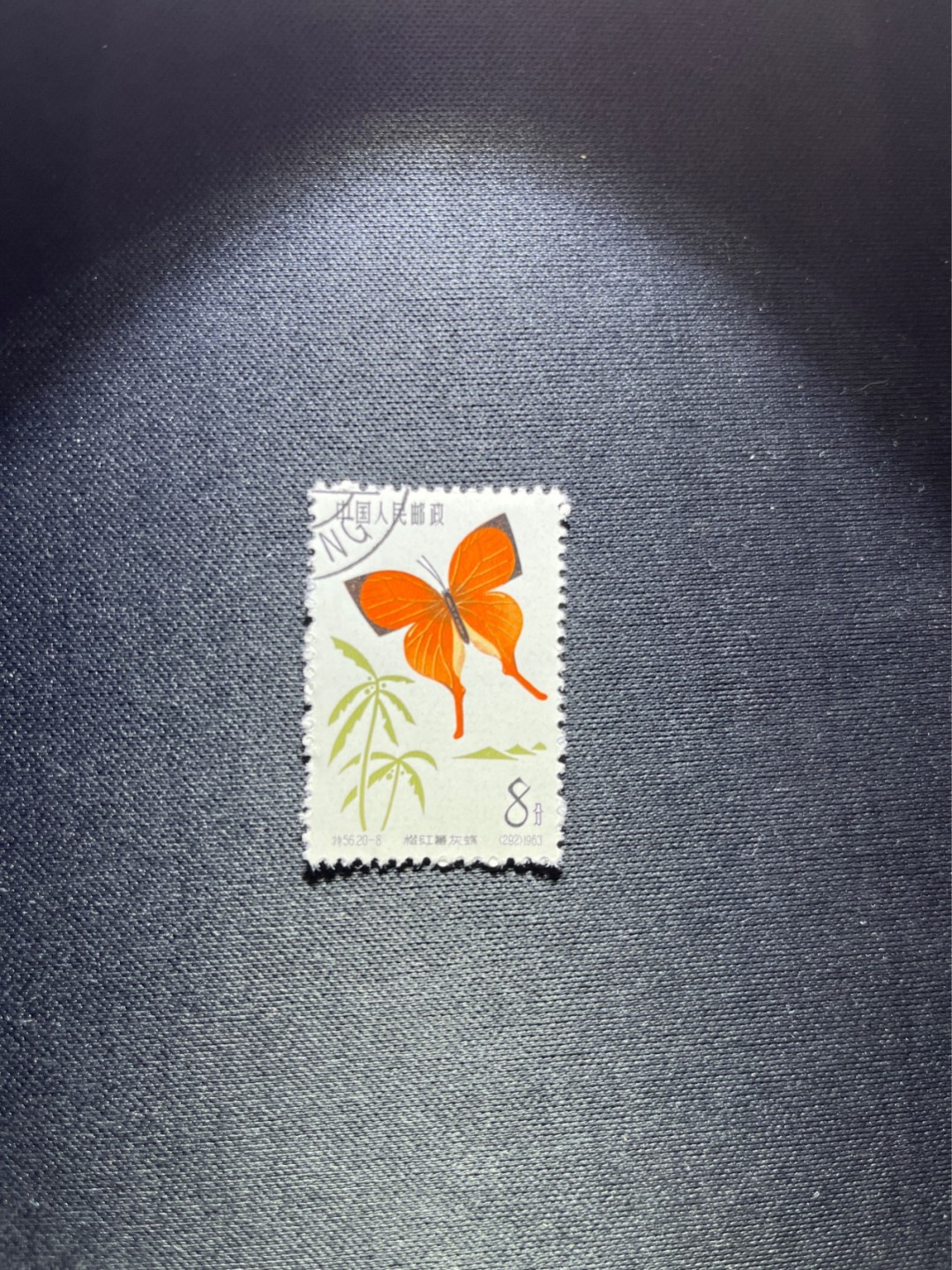 洪涛臻品 精选邮票限时拍卖第四十八期 特56蝴蝶盖销  20-8一枚，版撕全品嘎嘎绝，钢戳，面艳胶白，六珍之一，非常受欢迎的品种，新票价格高，盖销全品不要错过