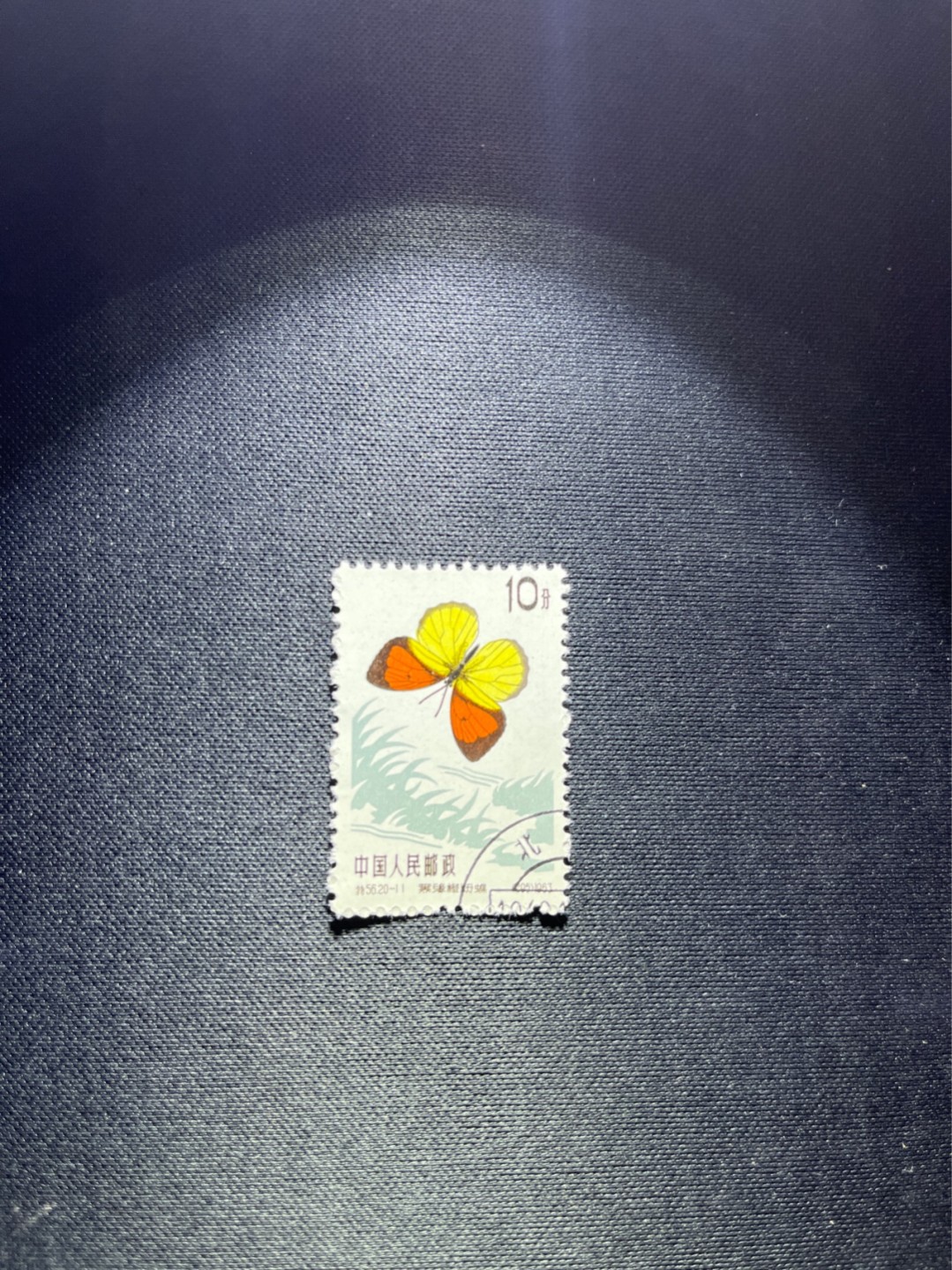 洪涛臻品 精选邮票限时拍卖第四十八期 特56蝴蝶盖销  20-11一枚，版撕全品嘎嘎绝，钢戳，面艳胶白，六珍之一，非常受欢迎的品种，新票价格高，盖销全品不要错过