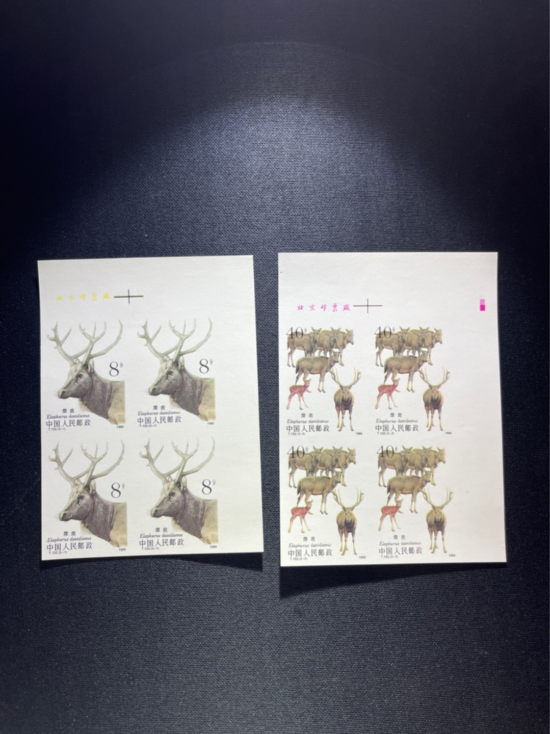 洪涛臻品 精选邮票限时拍卖第四十四期 T132无齿麋鹿新全 厂名 四方连一组  精品版货  精工细裁  收藏级品相  面艳背白，四角白尖，全程带硅胶手套操作，品相完美无瑕疵，喜欢的老板不要错过 