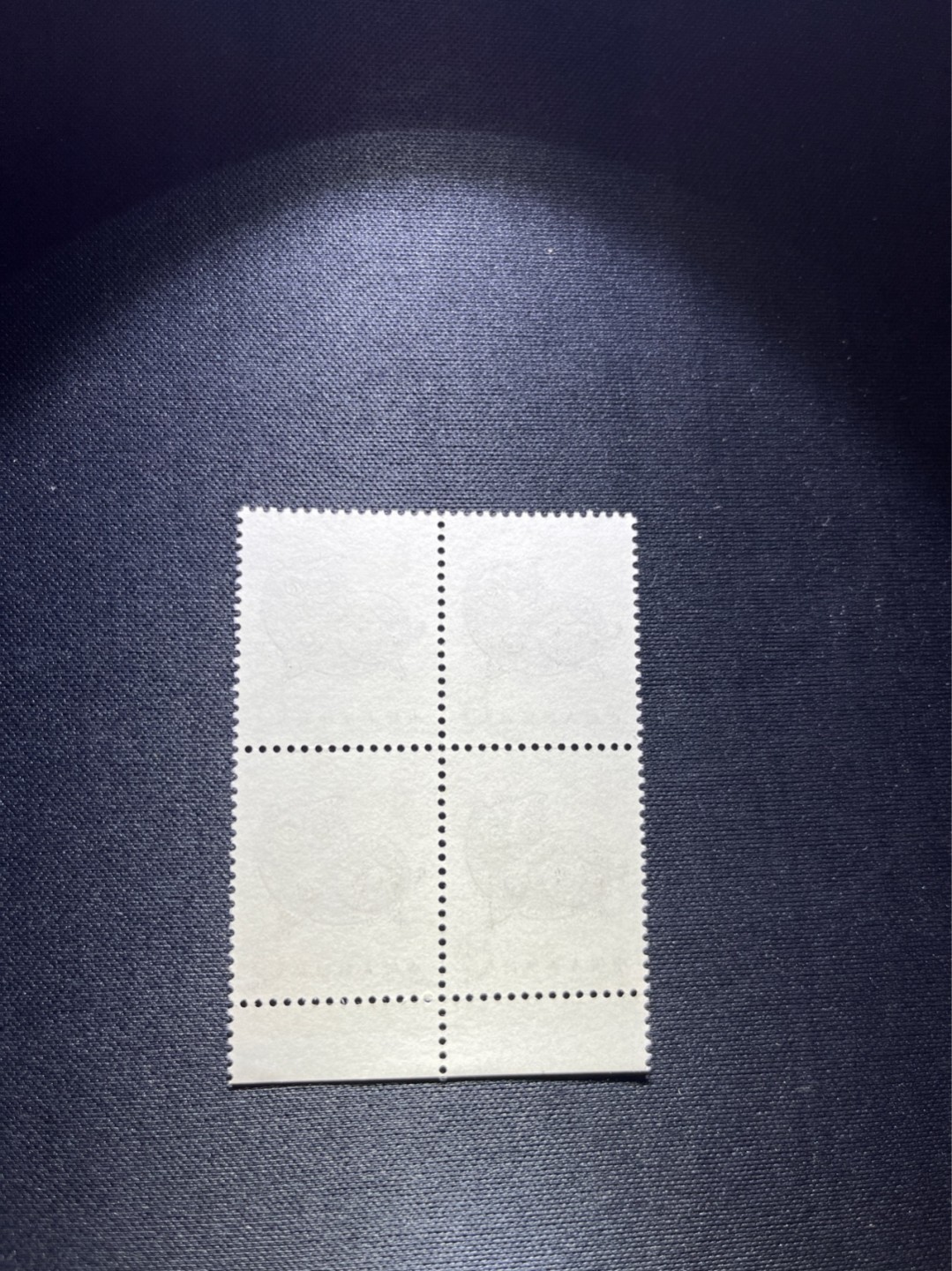 洪涛臻品 精选邮票限时拍卖第七十四期 T80生肖猪 方连一组  版撕全品嘎嘎绝，齿孔饱满，背面雪白，带硅胶手套撕版没有触痕，可评级。版撕红猪数量有限，注意捡漏