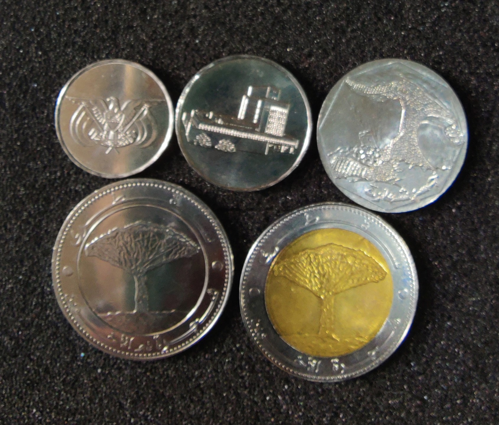 ♥一只鱼（世界钱币第二期）