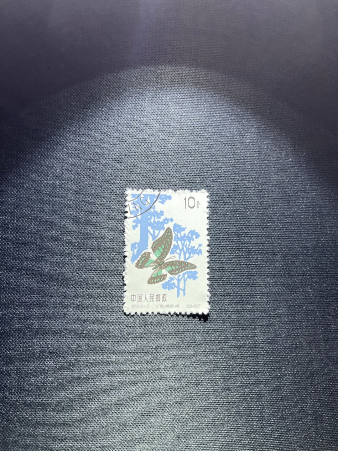 洪涛臻品 精选邮票限时拍卖第四十八期 特56蝴蝶盖销  20-12一枚，版撕全品嘎嘎绝，钢戳，面艳胶白，六珍之一，非常受欢迎的品种，新票价格高，盖销全品不要错过