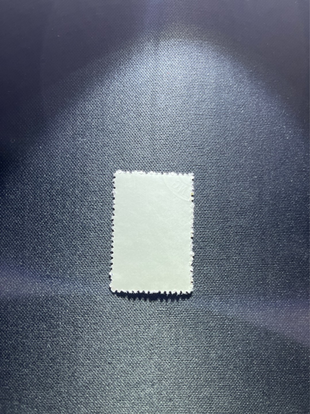 洪涛臻品 精选邮票限时拍卖第四十八期 特56蝴蝶盖销  20-12一枚，版撕全品嘎嘎绝，钢戳，面艳胶白，六珍之一，非常受欢迎的品种，新票价格高，盖销全品不要错过