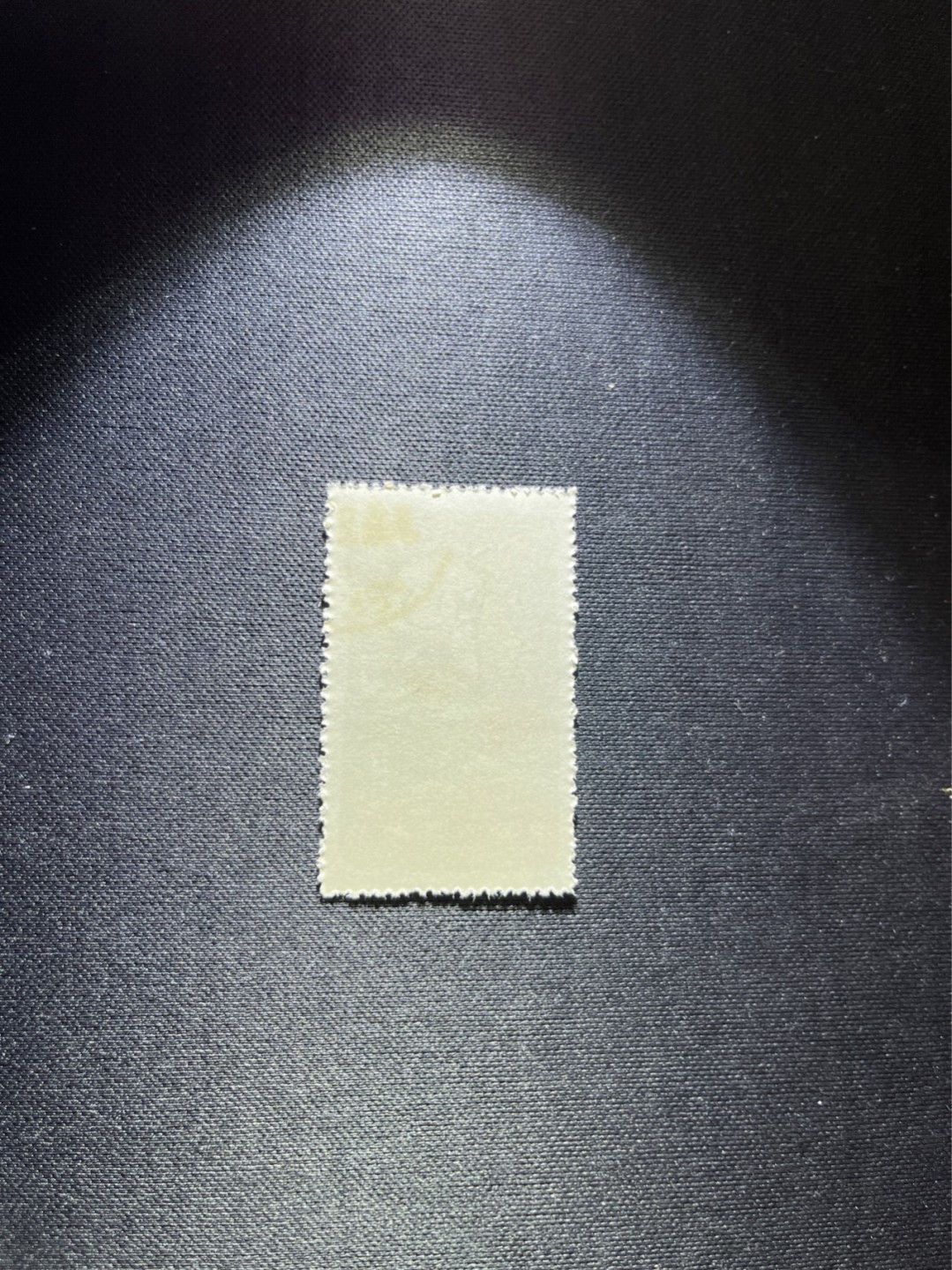 洪涛臻品 精选邮票限时拍卖第四十四期 特54儿童 盖销 12-3   一 枚，版撕全品嘎嘎绝， 面艳背白，生口，非常漂亮，热门票，草纸小票折痕多，全品数量有限，注意捡漏