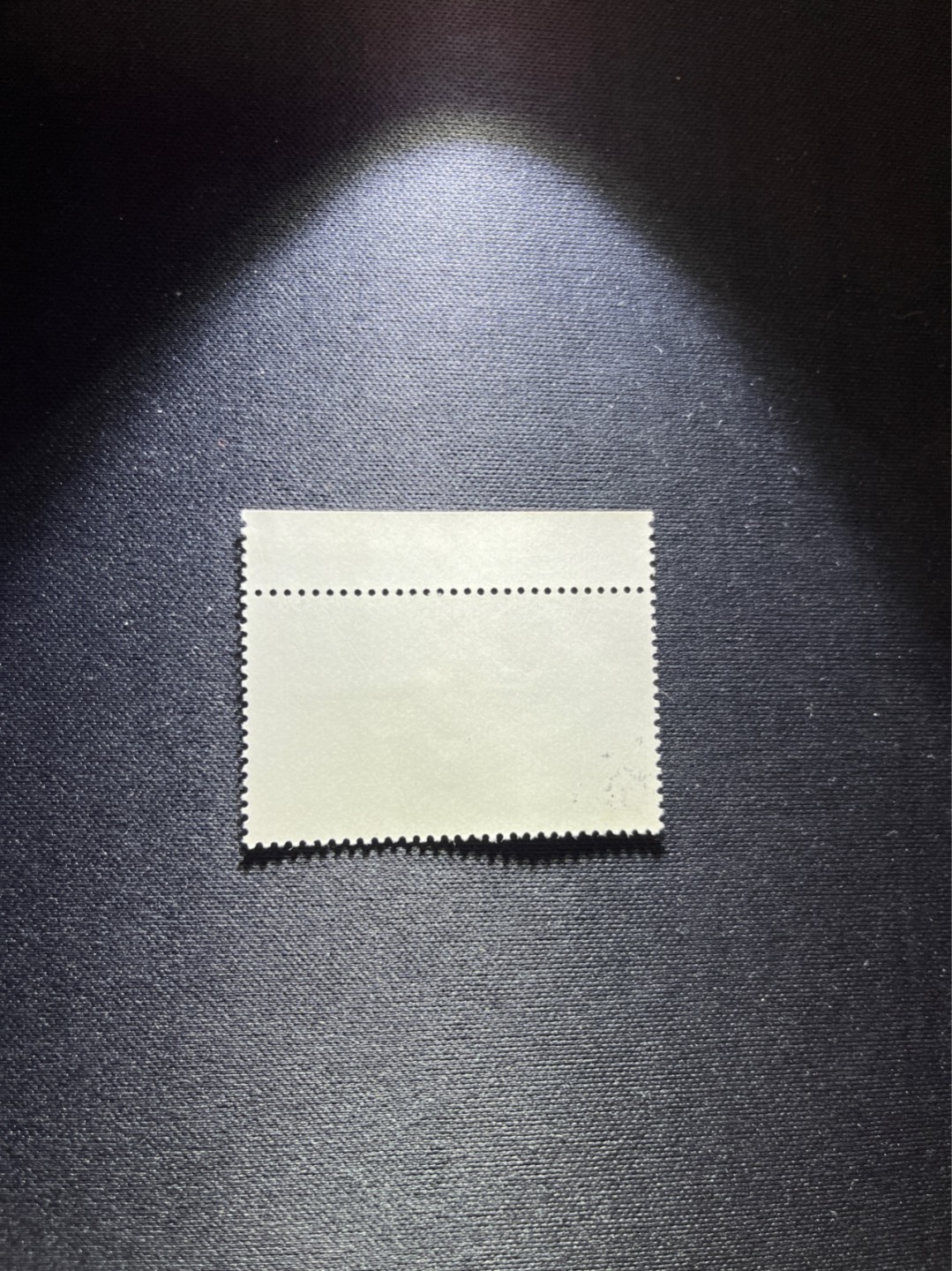 洪涛臻品 精选邮票限时拍卖第四十四期 热门品种，特74解放军  盖销  边纸一枚，老纪特三俗稀缺，经典热门票，版撕全品嘎嘎绝，面艳胶白，撕口新，适合收藏，喜欢不要错过，全品可评级《ASG评级处于初级阶段，趁便宜囤精品版撕票，后市不可估量》