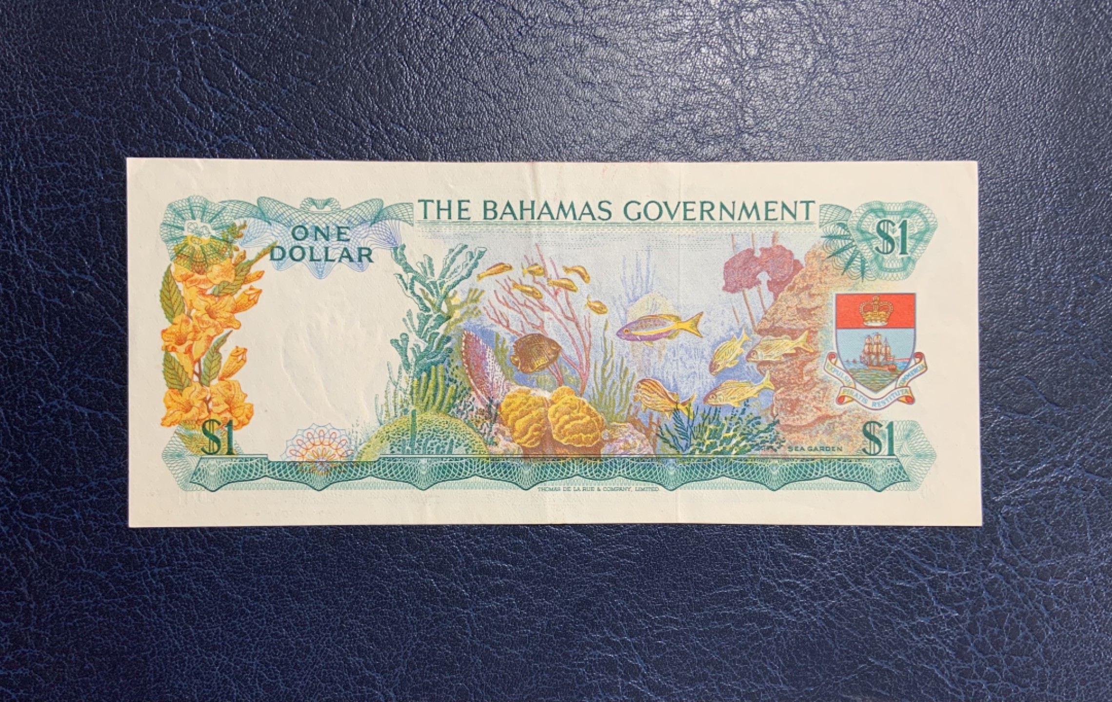 收藏联盟Quantum Auction 第195期拍卖(已更新) 巴哈马1965年1元 非全新 品相au- 首发年份首发A冠