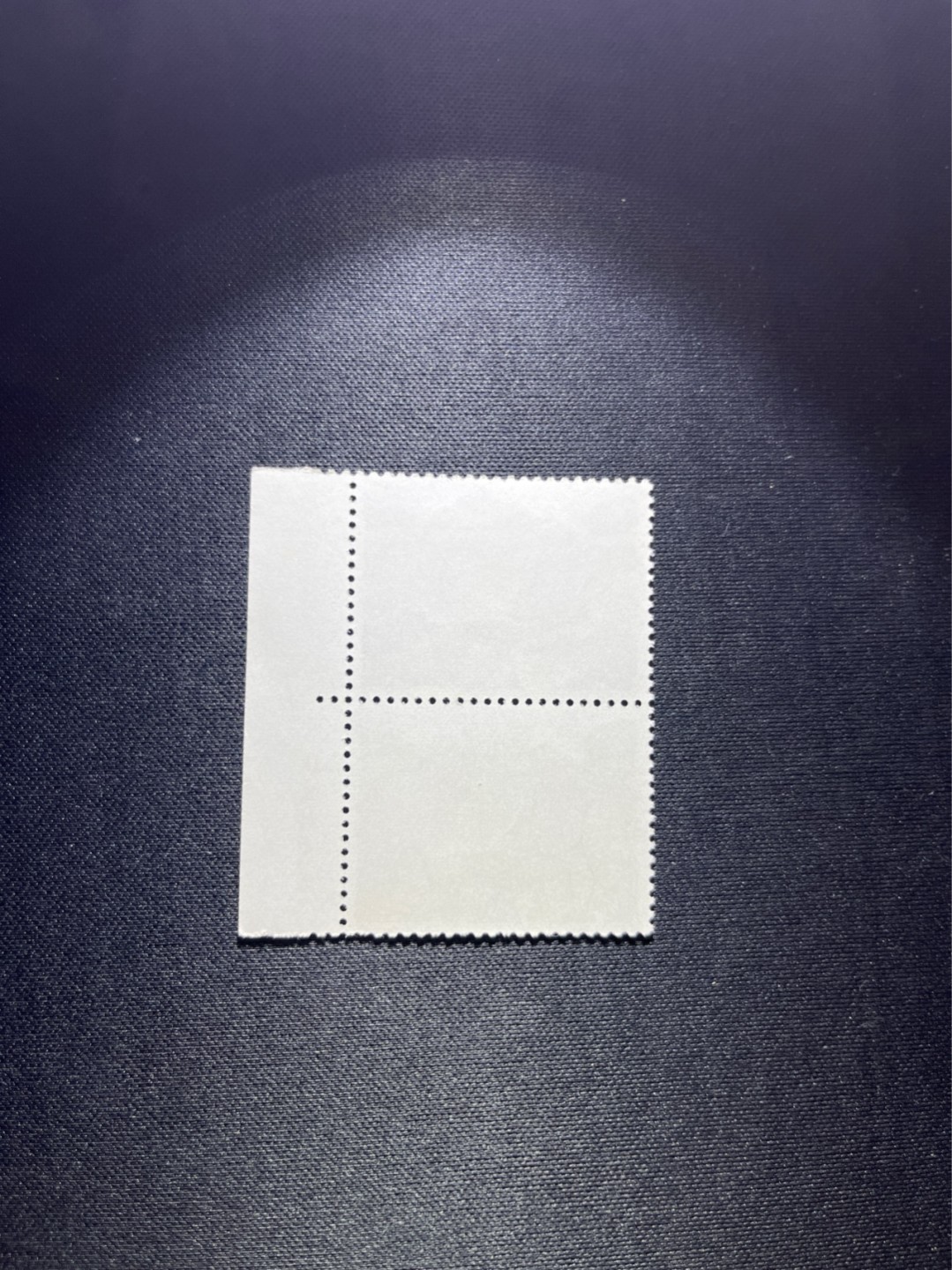 洪涛臻品 精选邮票限时拍卖第四十四期 文17  10分  厂名 色标 2连一组，全品，三俗稀缺，喜欢不要错过，全品可评级。！《ASG评级处于初级阶段，注意建仓便宜的版撕货，未来市场前景不可估量！！！！》