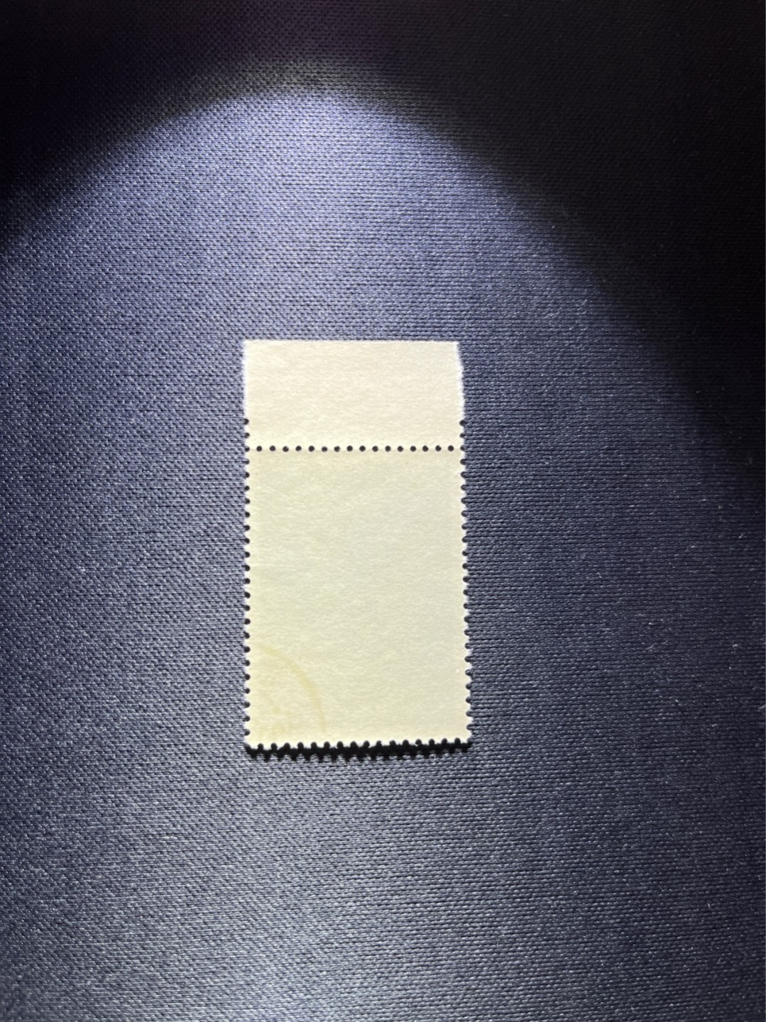 洪涛臻品 精选邮票限时拍卖第四十九期 特46唐三彩 8-2盖销 边纸，全品，老纪特三俗稀缺。解放初的经典票，整版撕开，面艳胶白，票挺洁净，齿孔完美，收藏评级两相宜。老纪特的版票资源十分稀缺难寻，机会来临时必须抓住。