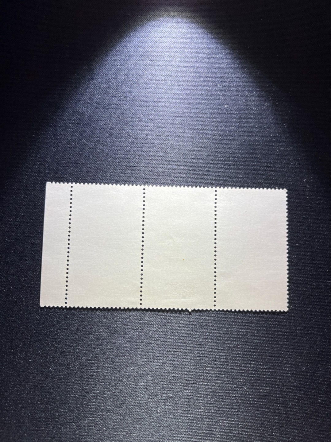 洪涛臻品 精选邮票限时拍卖第六十一期 纪106建国15周年盖销，三道齿孔均无折，十分难得！三联加边纸均硬挺！左边满色标，顶配！戳淡且清晰！无贴纸，有轻微残留贴痕。原胶雪白润亮！百中无一的品相！老纪特高价票、超难题票。