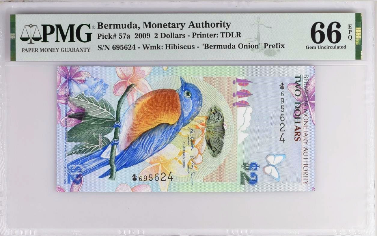 2009年百慕大2元塑料钞蘑菇冠，2009年INBS获奖钞