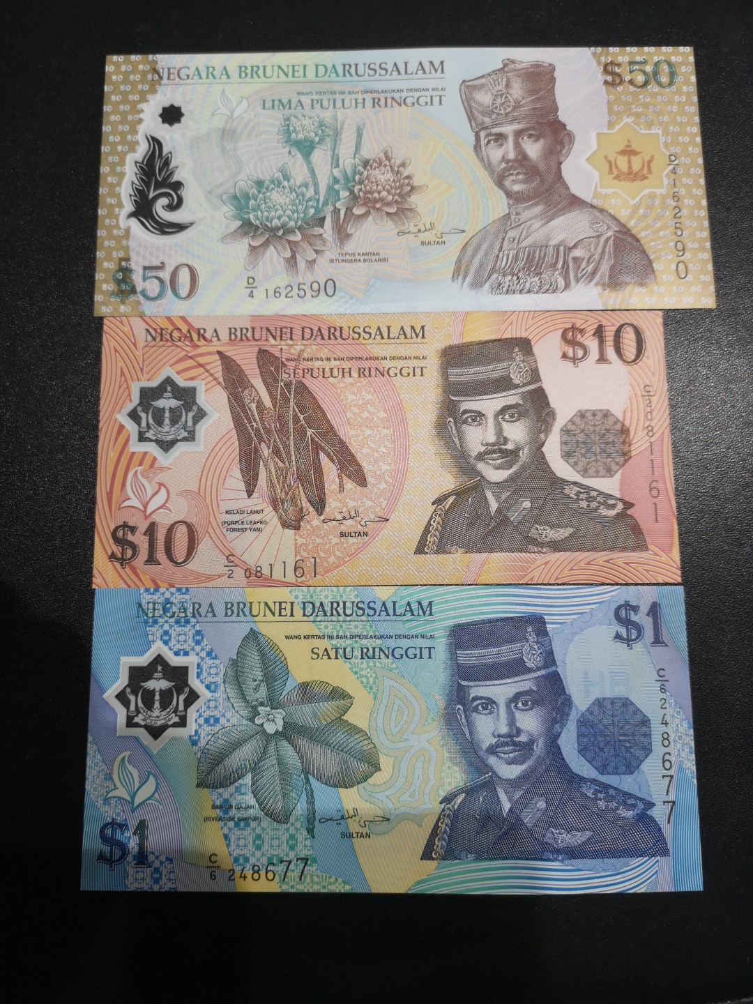 《外钞收藏家》第二百零六期 文莱50、10、1三张一起 50和10是全新 1是AU品相