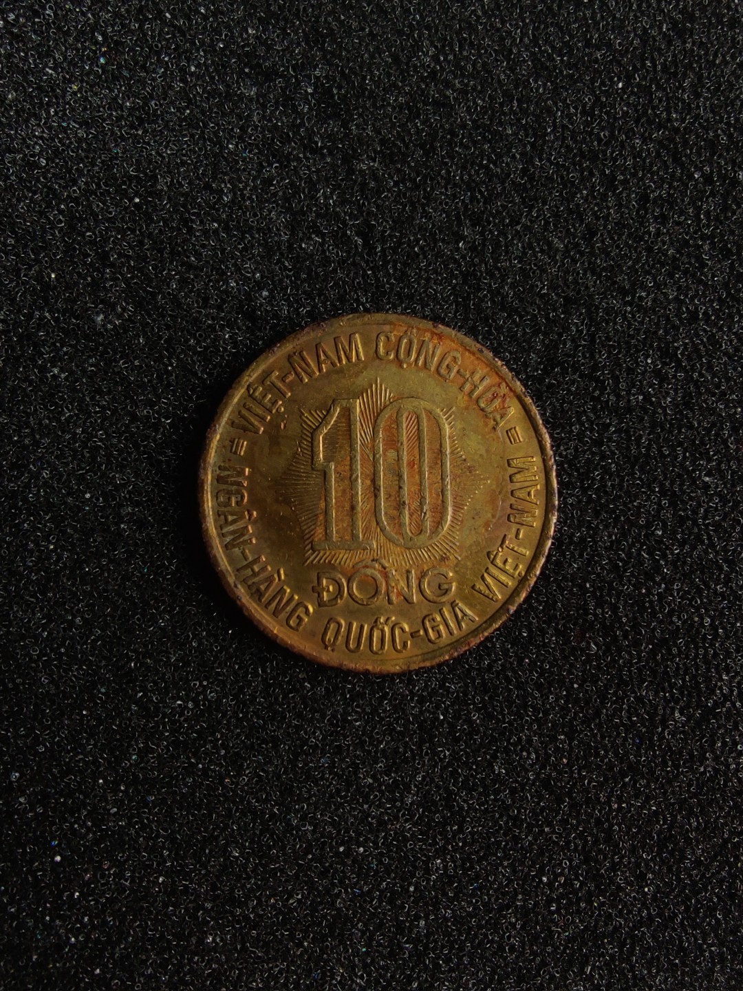 ♥一只鱼（世界钱币第三期） 越南10盾