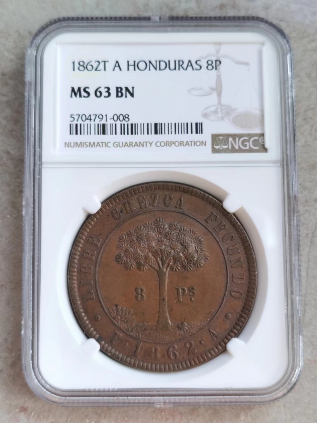 博洋堂世界钱币拍卖第001期（全场包邮） NGC MS63BN 1862年洪都拉斯军政府8P大铜币，高分极精美