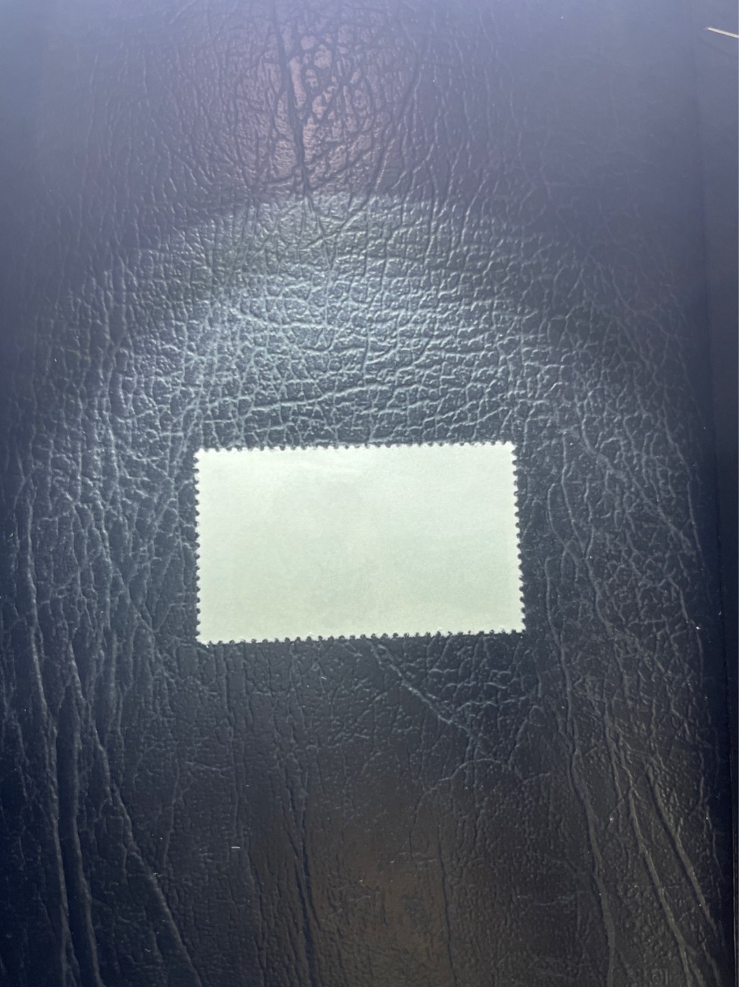 洪涛臻品 精选邮票限时拍卖第四十五期 文18  8分海防 筋票  版撕票，上上品，无明显瑕疵，可评级 包OG，注意捡漏