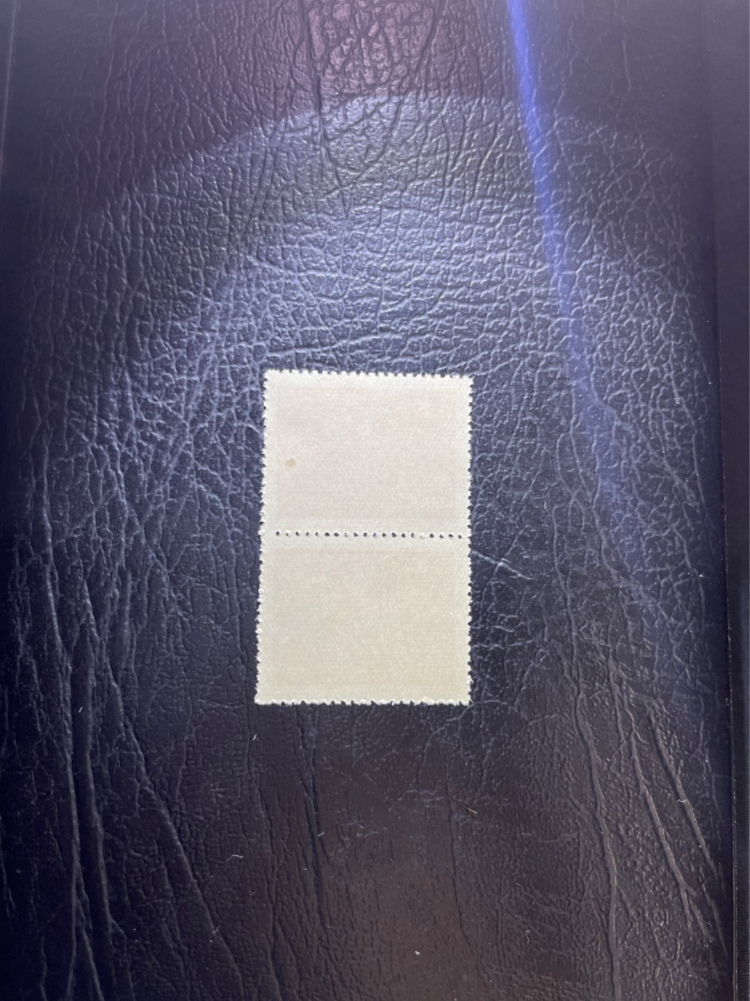 洪涛臻品 精选邮票限时拍卖第四十五期 1949年发行的进军图邮票70元，竖2连 版撕全品一组，进军图纸张薄，多数都有折痕，全品无折痕的非常少，注意捡漏，所有拍品包过灯，ASG评级资源储备，注意捡漏