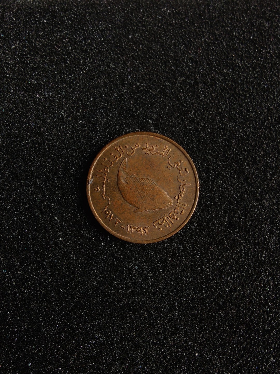 ♥一只鱼（世界钱币第三期） 阿拉伯联合酋长国5费尔