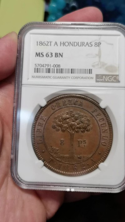 博洋堂世界钱币拍卖第001期（全场包邮） NGC MS63BN 1862年洪都拉斯军政府8P大铜币，高分极精美