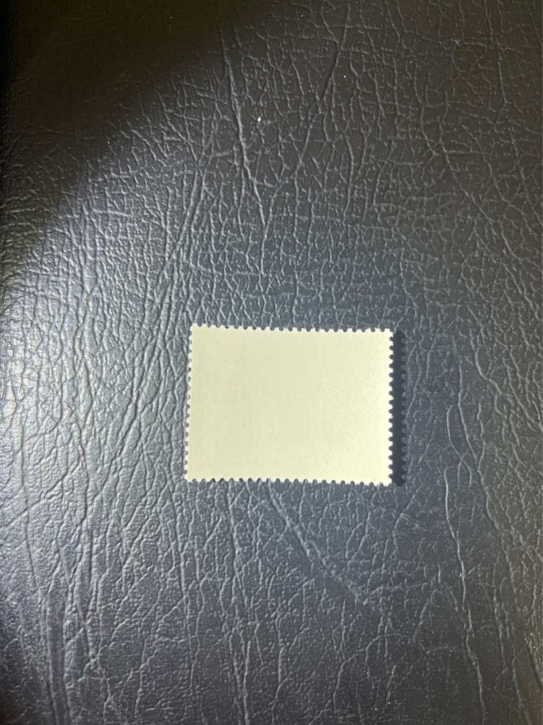 洪涛臻品批发群  精选邮票限时拍卖第二百零八期 编号熊猫N59  1枚，版撕全品嘎嘎绝，齿孔非常新，完美品相，背面雪白，不是赵涌所谓的全品能比的，所有拍品包过灯，全品可评级，注意捡漏。《ASG评级处于初级阶段，趁便宜囤精品版撕票，后市不可估量》
