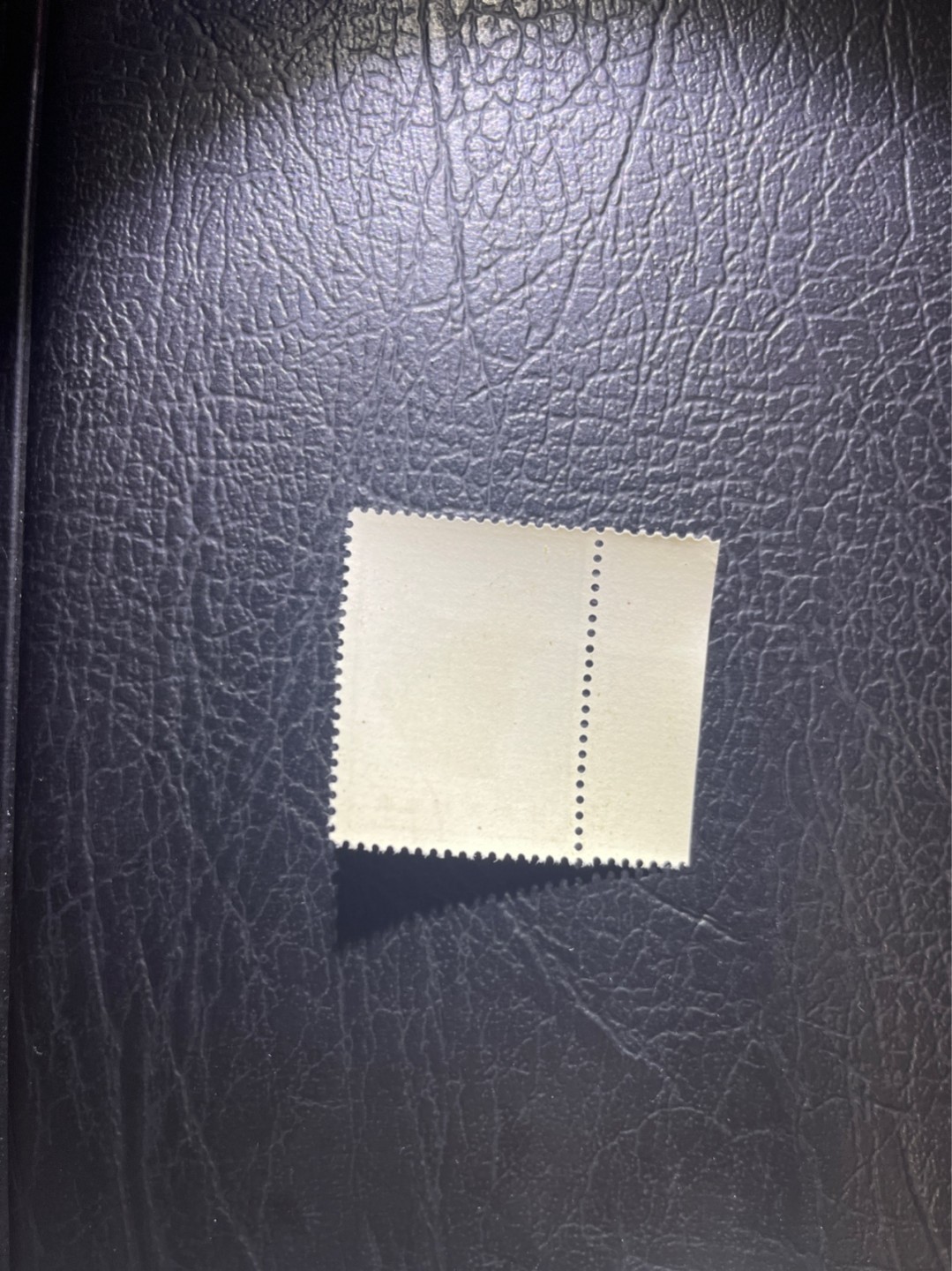 洪涛臻品 精选邮票限时拍卖第四十六期 特63青铜器8-3盖销 色标  ✦总筋✦全品嘎嘎绝，老纪特三俗稀缺，ASG95分新票拍卖价8000多元，版撕全品盖销注意捡漏。解放初的经典票，整版撕开，面艳胶白，票挺洁净，齿孔完美，收藏评级两相宜，且有高附加值边纸。老纪特的版票资源十分稀缺难寻，机会来临时必须抓住。