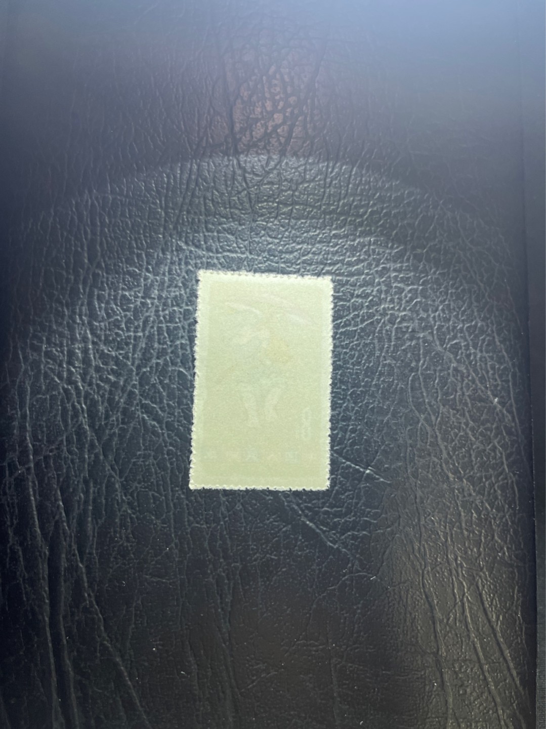 洪涛臻品 精选邮票限时拍卖第四十七期 特54儿童 盖销 12-8   一 枚，版撕全品嘎嘎绝， 面艳背白，生口，非常漂亮，热门票，草纸小票折痕多，全品数量有限，注意捡漏