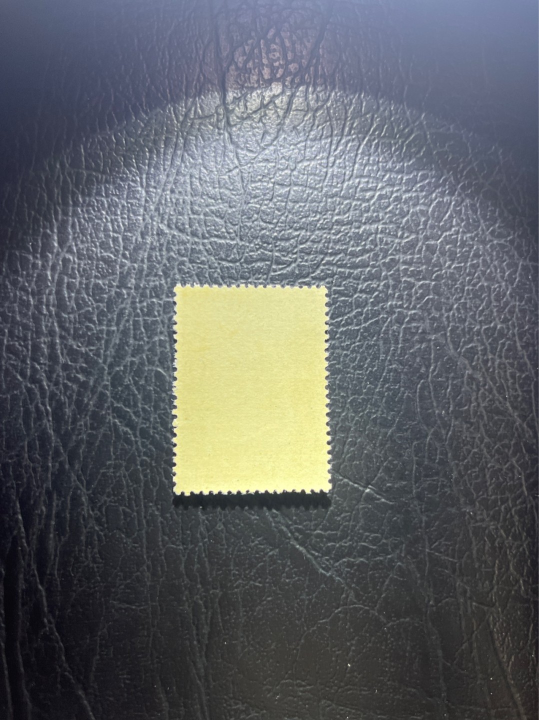 洪涛臻品 精选邮票限时拍卖第四十七期 纪93杜甫盖销 2-1一枚，版撕全品，面艳胶白  老纪特高价精品票，全品新票一套价格8000一样难求，盖销版撕精品值得珍惜，注意捡漏。《ASG评级处于初级阶段，趁便宜囤精品版撕票，后市不可估量》