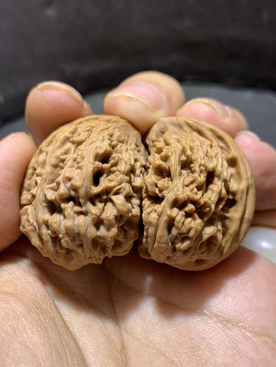 精美全品野生马蹄双胞胎半壁江山异型文玩麻核桃一对， - 精美全品野生马蹄双胞胎半壁江山异型文玩麻核桃一对，