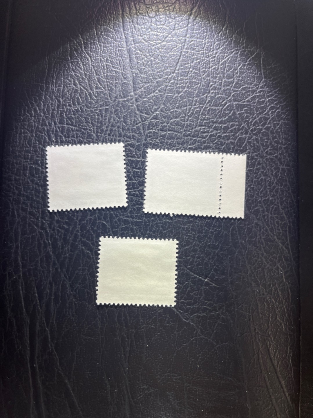 洪涛臻品 精选邮票限时拍卖第四十七期 普无号  50分枣园，3枚一组，版撕嘎嘎绝，文革期间发行的唯一一套普票，非常有特点，集邮册中不可缺少的一组，文革票人气足，潜力大，目前处于价值洼地，版撕全品可直接评级，版撕小票价格便宜，多多益善，注意捡漏
