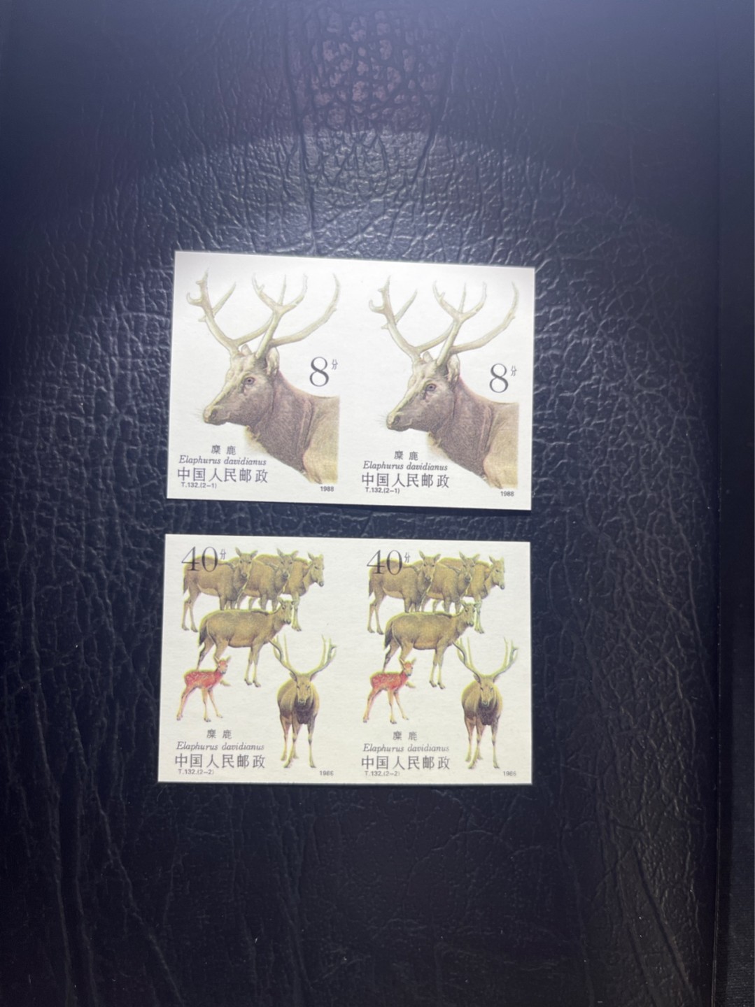 洪涛臻品 精选邮票限时拍卖第四十七期 T132无齿麋鹿新全   2连一组  精品版货  精工细裁 ，四角白尖， 收藏级品相  面艳背白，全程带硅胶手套操作，品相完美无瑕疵，喜欢的老板不要错过