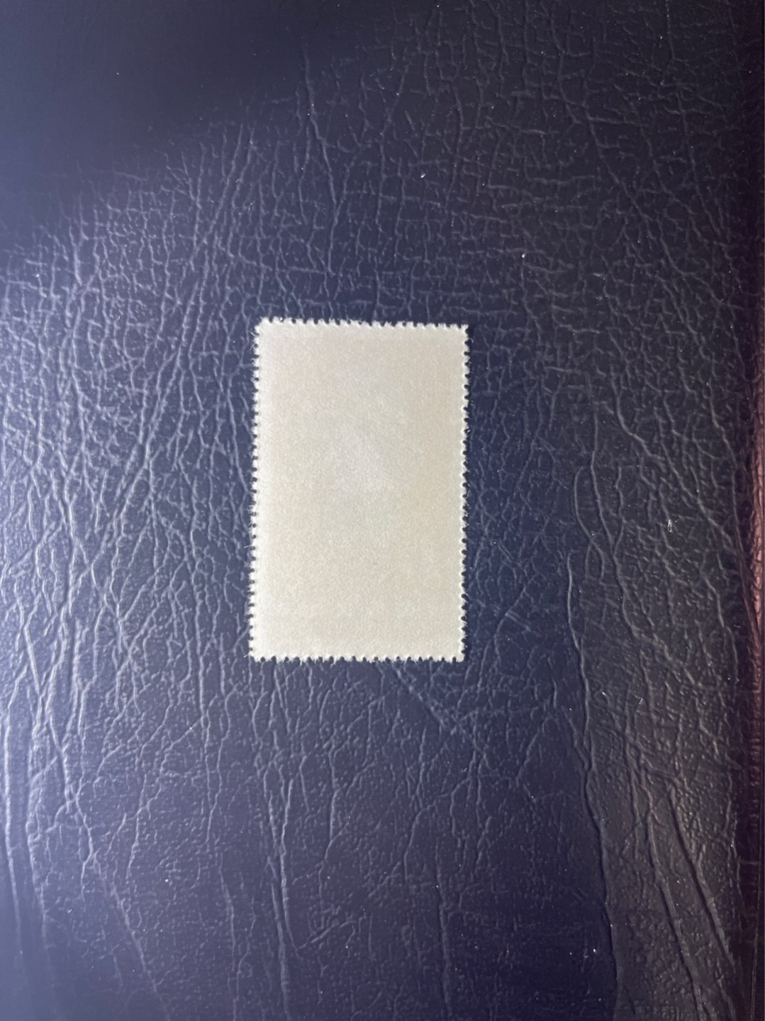 洪涛臻品 精选邮票限时拍卖第四十九期 特54儿童 盖销 12-2   一 枚，版撕全品嘎嘎绝， 面艳背白，生口，非常漂亮，热门票，草纸小票折痕多，全品数量有限，注意捡漏