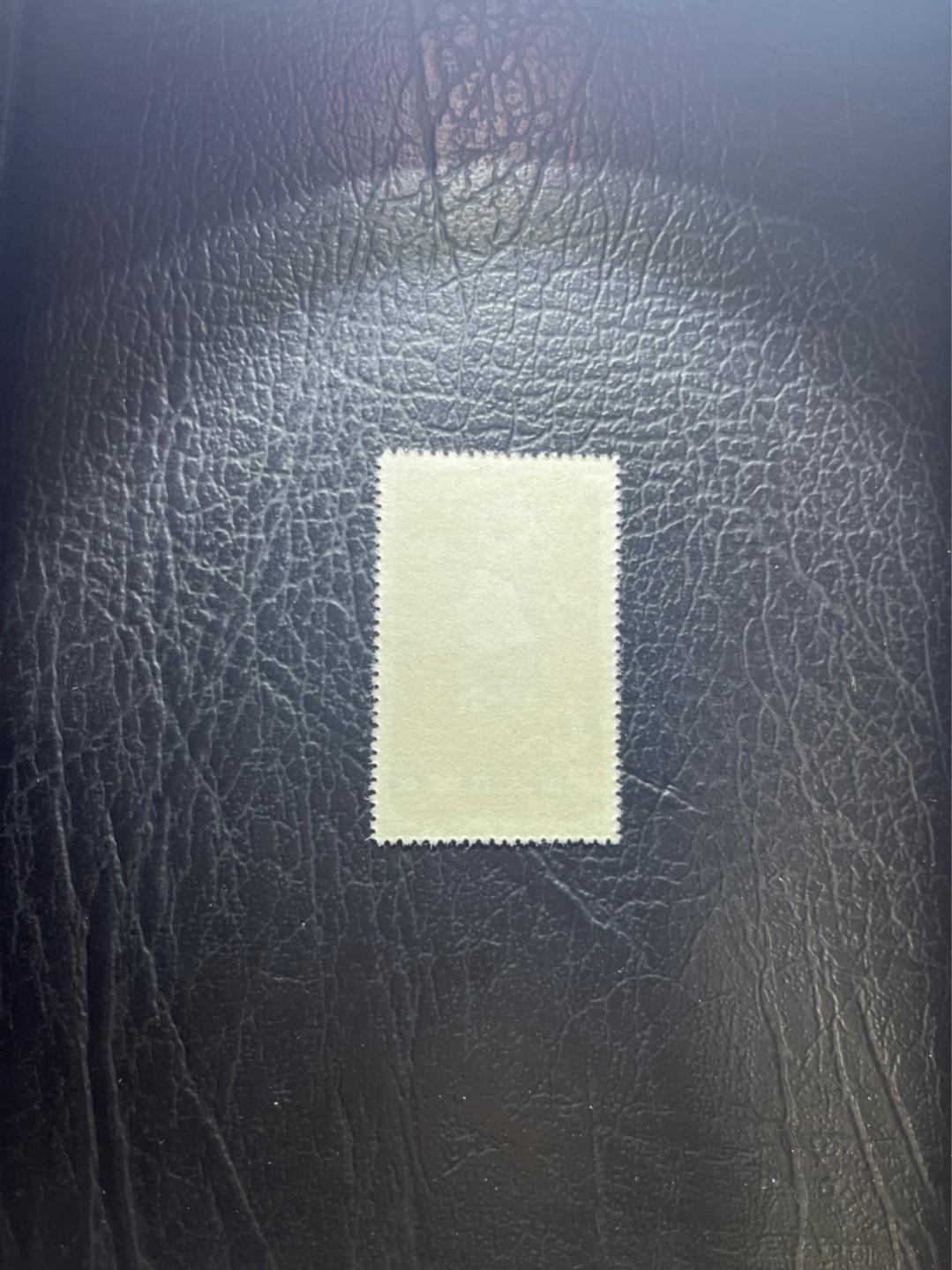 洪涛臻品 精选邮票限时拍卖第四十九期 特54儿童 盖销 12-2   一 枚，版撕全品嘎嘎绝， 面艳背白，生口，非常漂亮，热门票，草纸小票折痕多，全品数量有限，注意捡漏