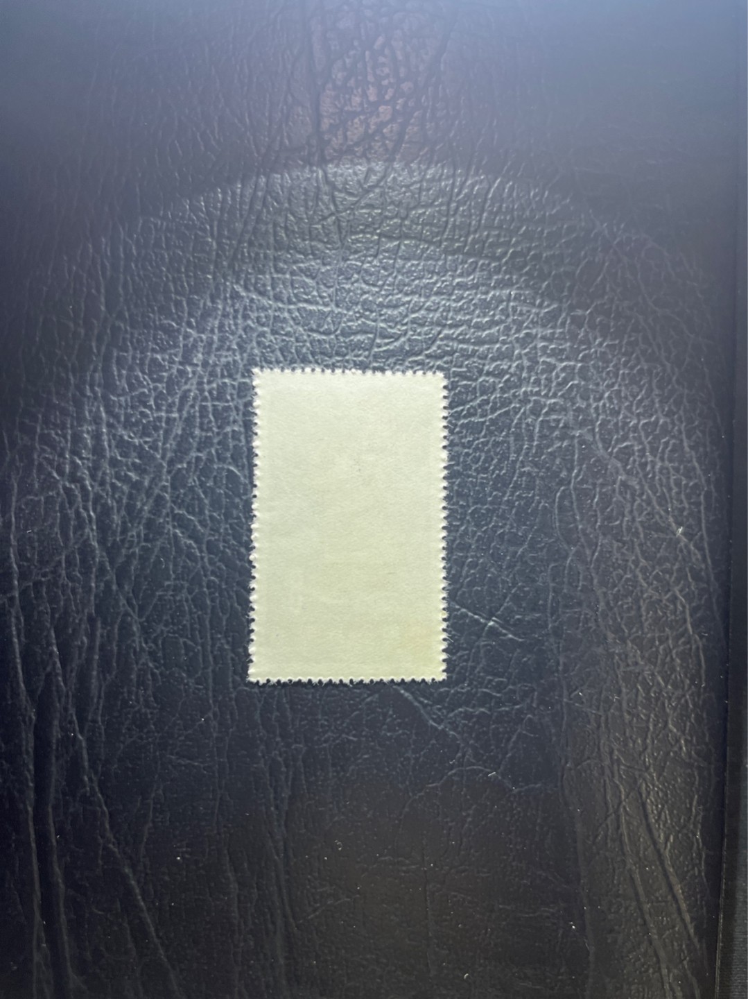 洪涛臻品 精选邮票限时拍卖第四十九期 特54儿童 盖销 12-4   一 枚，版撕全品嘎嘎绝， 面艳背白，生口，非常漂亮，热门票，草纸小票折痕多，全品数量有限，注意捡漏