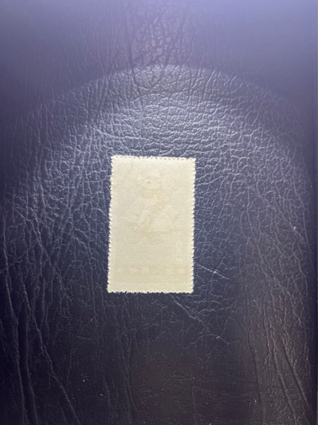 洪涛臻品 精选邮票限时拍卖第五十二期 特54儿童 盖销 12-6   一 枚，版撕全品嘎嘎绝， 面艳背白，生口，非常漂亮，热门票，草纸小票折痕多，全品数量有限，注意捡漏