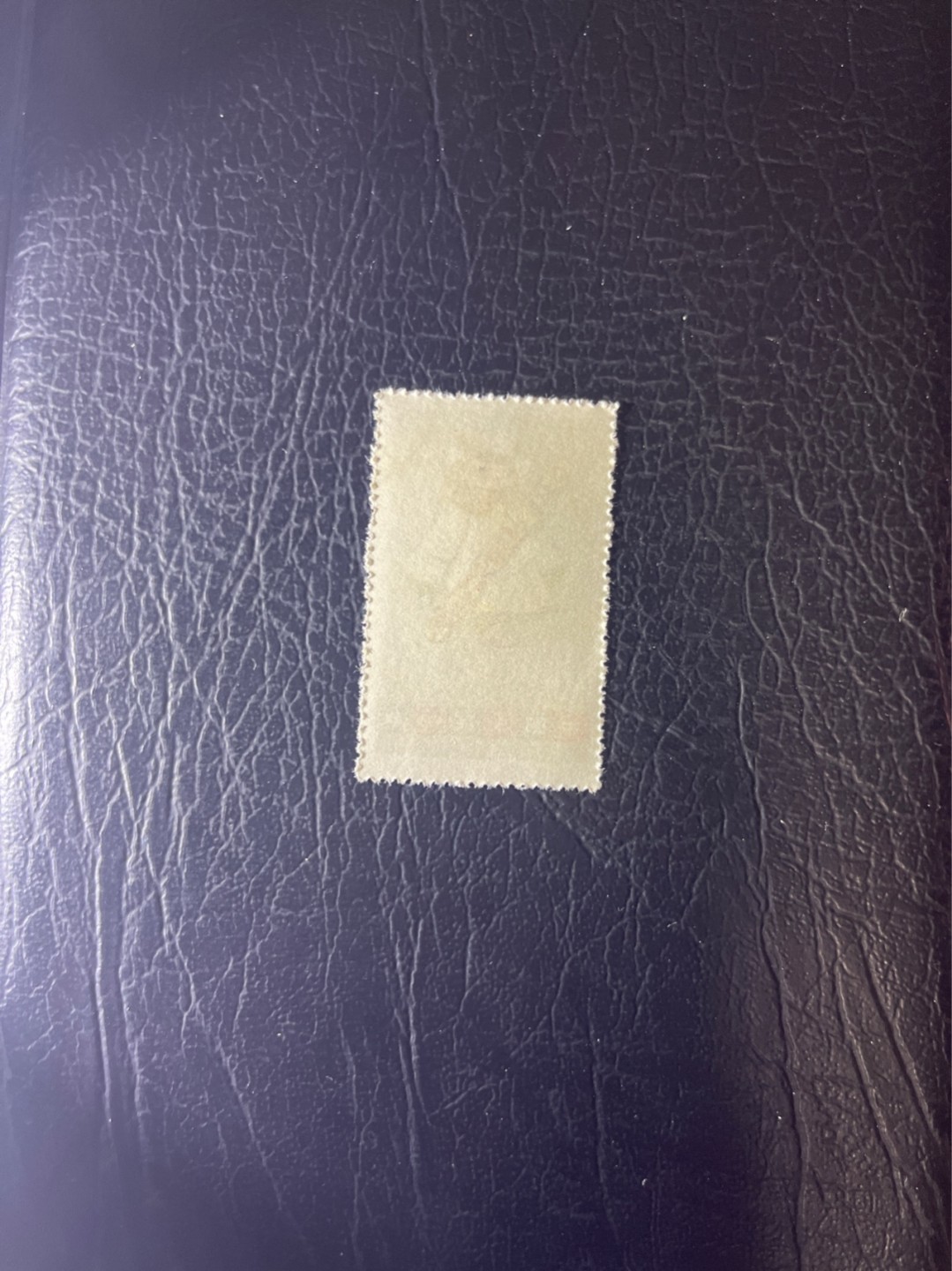 洪涛臻品 精选邮票限时拍卖第五十二期 特54儿童 盖销 12-6   一 枚，版撕全品嘎嘎绝， 面艳背白，生口，非常漂亮，热门票，草纸小票折痕多，全品数量有限，注意捡漏