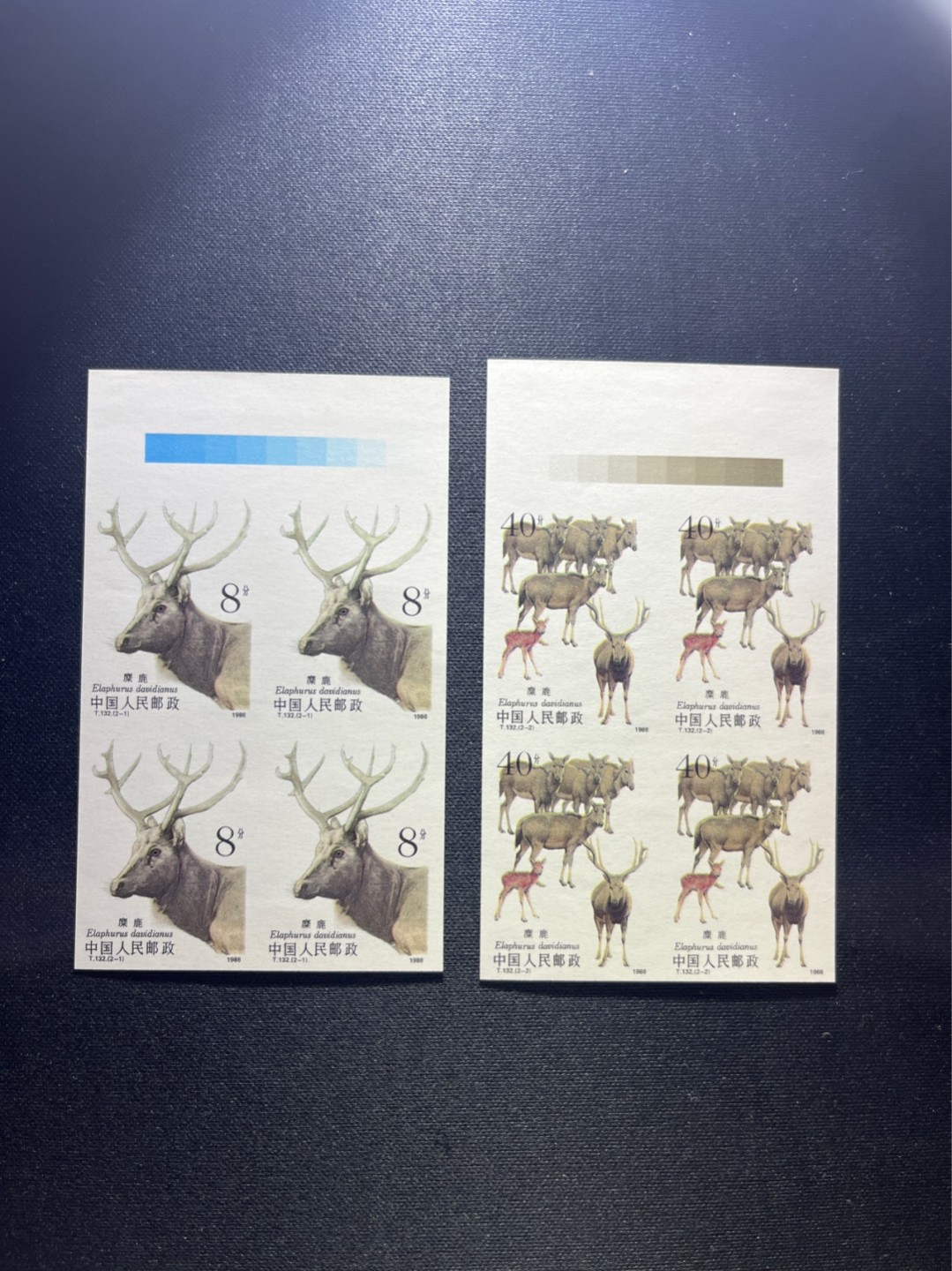 洪涛臻品 精选邮票限时拍卖第四十七期 T132无齿麋鹿新全   色标  四方连一组  精品版货  精工细裁 ，四角白尖， 收藏级品相  面艳背白，全程带硅胶手套操作，品相完美无瑕疵，喜欢的老板不要错过