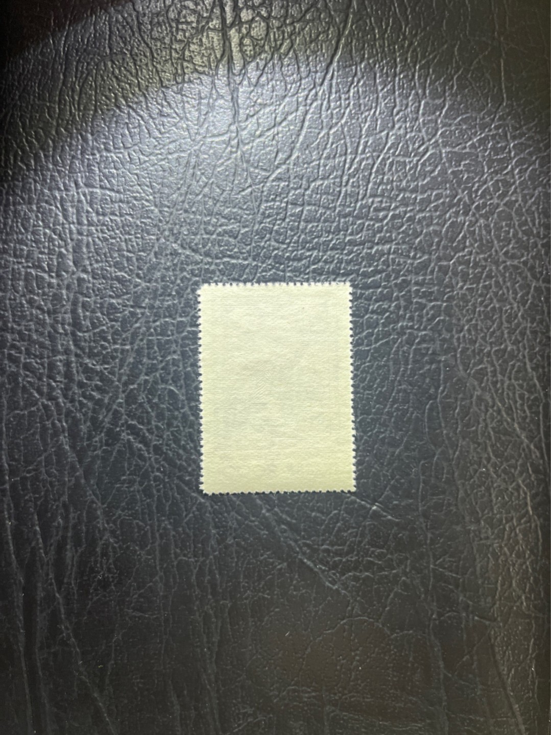 洪涛臻品 精选邮票限时拍卖第四十八期 纪26列宁新 总筋3-2  版撕全品嘎嘎绝✦绝品✦收藏级品相★总筋一枚几乎等于一套票★老纪特经典票，ASG90分一套价格1500元左右，博分首选，收藏或评级必须选版撕票，注意捡漏