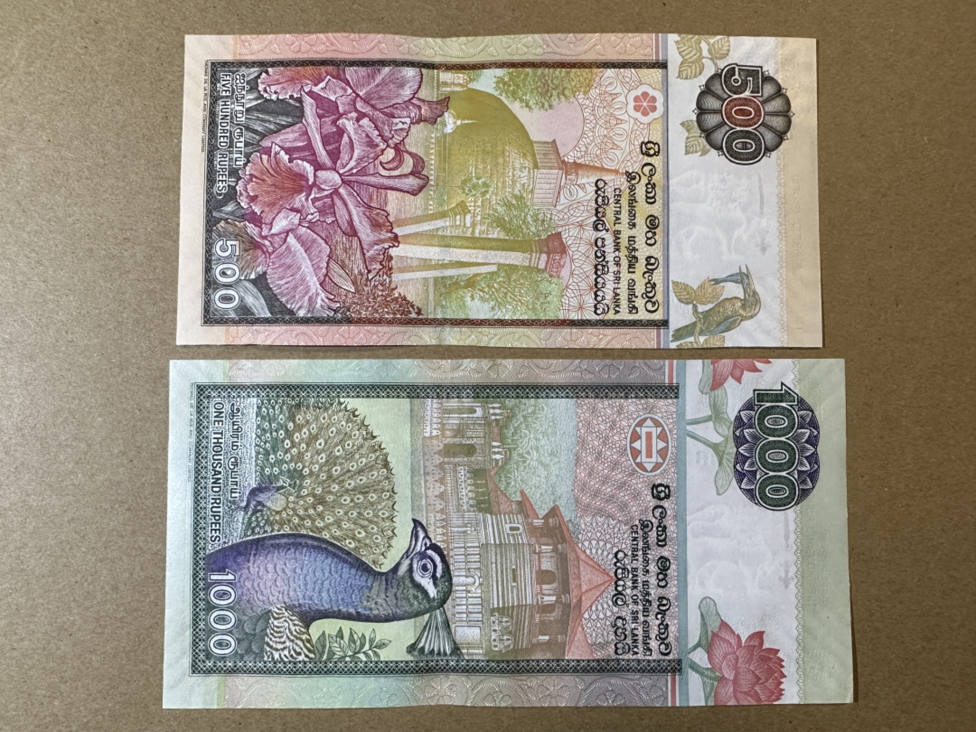 《张总收藏》76期——外币大拍 斯里兰卡500、1000卢比2张 UNC 2005年