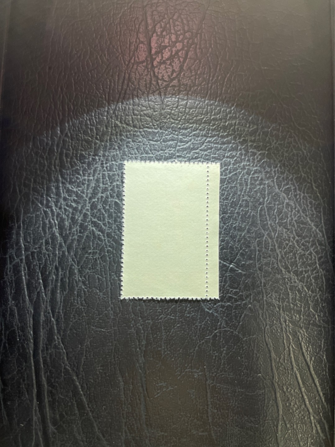 洪涛臻品 精选邮票限时拍卖第四十八期 特54儿童 盖销 12-10 筋票一枚，版撕全品嘎嘎绝✦ 面艳背白，生口，非常漂亮，热门票，草纸小票折痕多，全品数量有限，注意捡漏