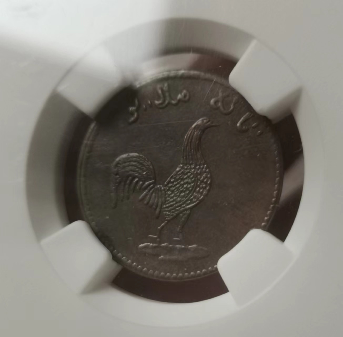 瓶子🏺第60期拍卖会 海峡马六甲1831年深打铜币