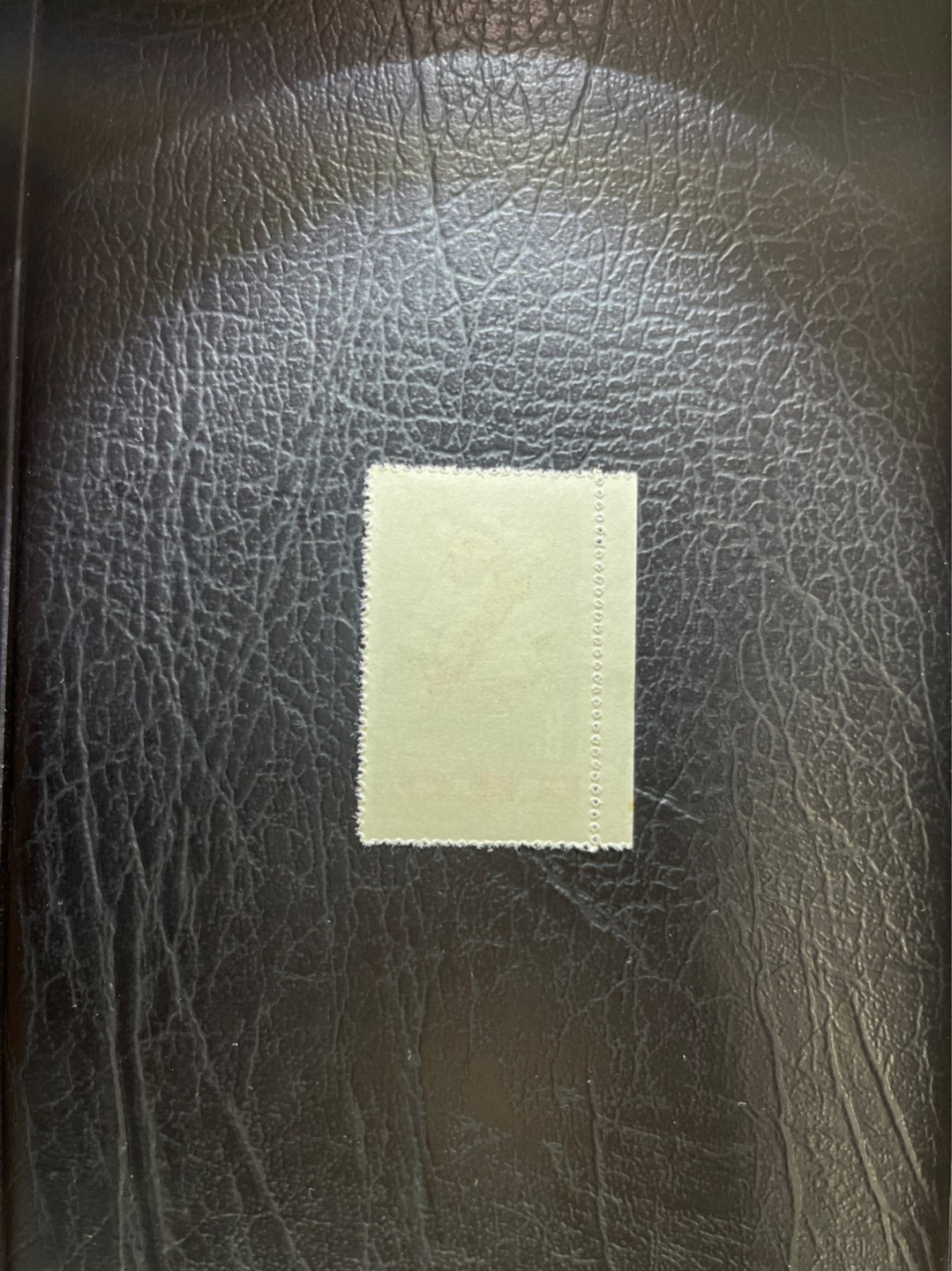 洪涛臻品 精选邮票限时拍卖第四十八期 特54儿童 盖销 12-6   一 枚，版撕全品嘎嘎绝， 面艳背白，生口，非常漂亮，热门票，草纸小票折痕多，全品数量有限，注意捡漏