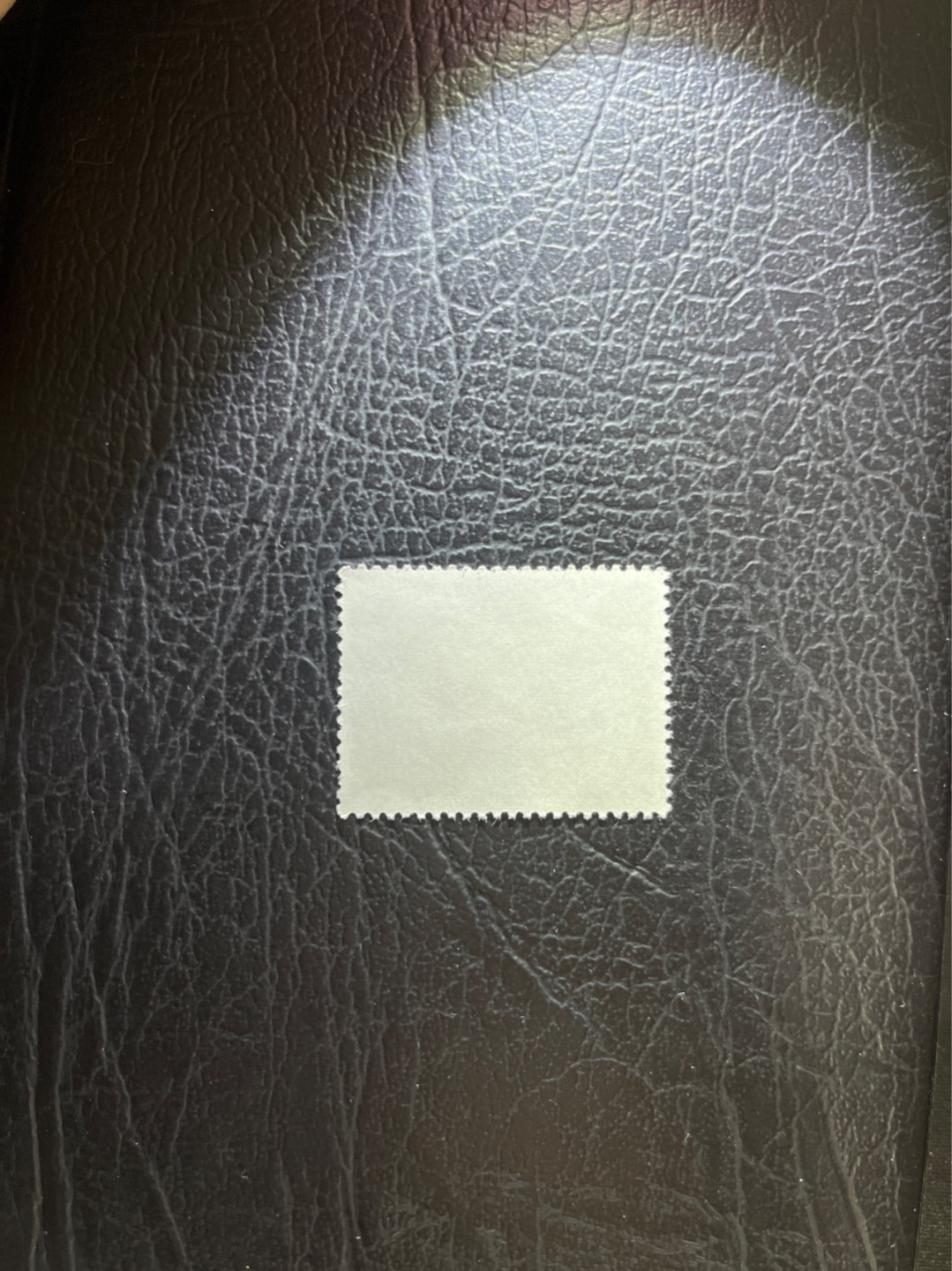 洪涛臻品 精选邮票限时拍卖第四十八期 文17  10分  1枚，版撕票，一角软折，上品，喜欢不要错过。！《ASG评级处于初级阶段，注意建仓便宜的版撕货，未来市场前景不可估量！！！！》