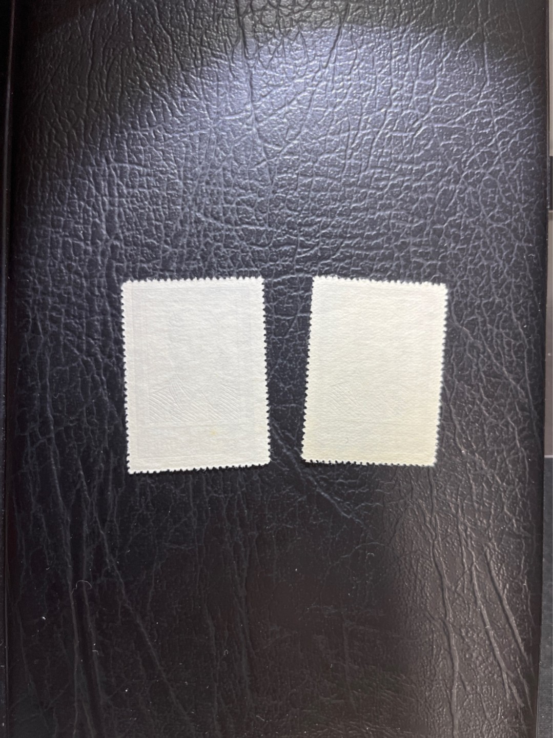 洪涛臻品 精选邮票限时拍卖第四十八期 纪27  斯大林 3-1新 2枚，版撕全品，注意捡漏，老纪特评级资源枯竭