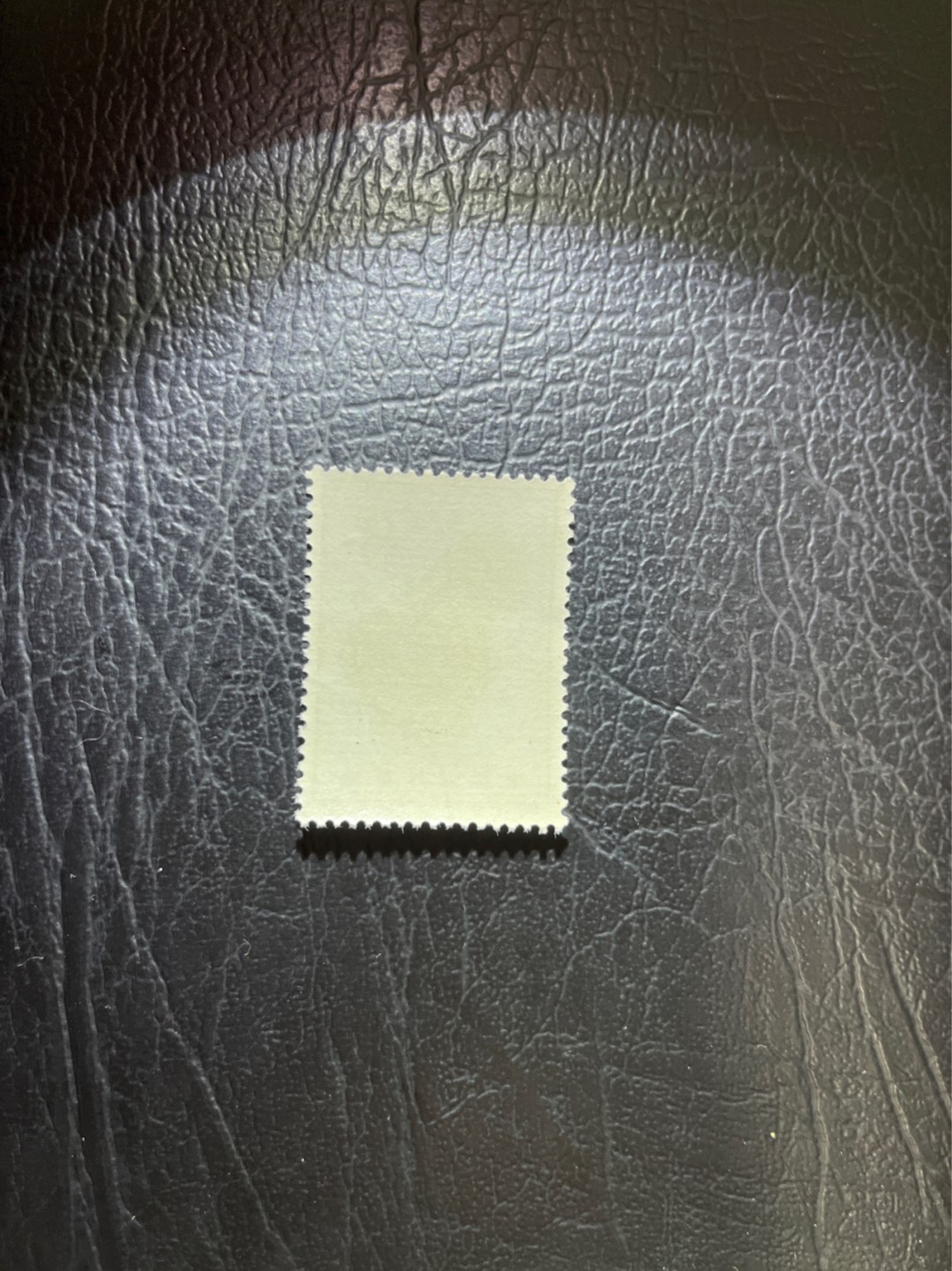 洪涛臻品 精选邮票限时拍卖第四十八期 特63青铜器8-3盖销✦总筋✦全品嘎嘎绝，老纪特三俗稀缺，ASG95分新票拍卖价8000多元，版撕全品盖销注意捡漏。解放初的经典票，整版撕开，面艳胶白，票挺洁净，齿孔完美，收藏评级两相宜，且有高附加值边纸。老纪特的版票资源十分稀缺难寻，机会来临时必须抓住。(图3赵涌近期成交价做参考)