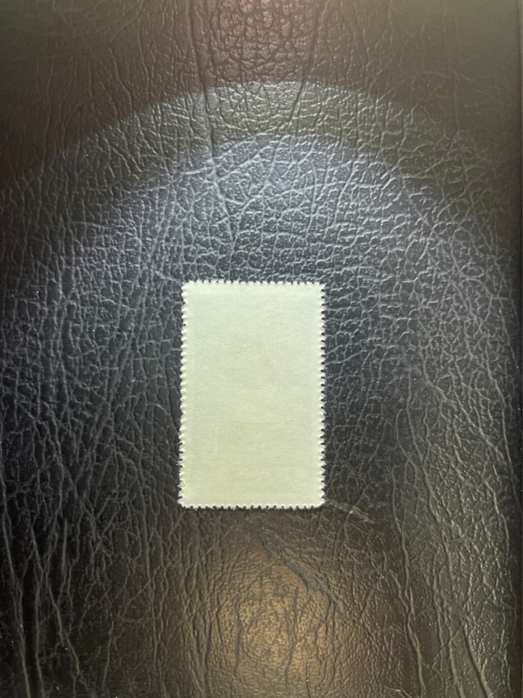 洪涛臻品 精选邮票限时拍卖第四十八期 特54儿童 盖销 12-4   一 枚，版撕全品嘎嘎绝， 面艳背白，生口，非常漂亮，热门票，草纸小票折痕多，全品数量有限，注意捡漏