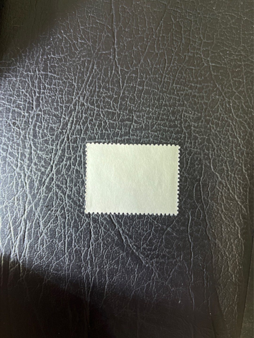 洪涛臻品 精选邮票限时拍卖第四十八期 文17  10分  1枚，版撕票，一角软折，上品，喜欢不要错过。！《ASG评级处于初级阶段，注意建仓便宜的版撕货，未来市场前景不可估量！！！！》