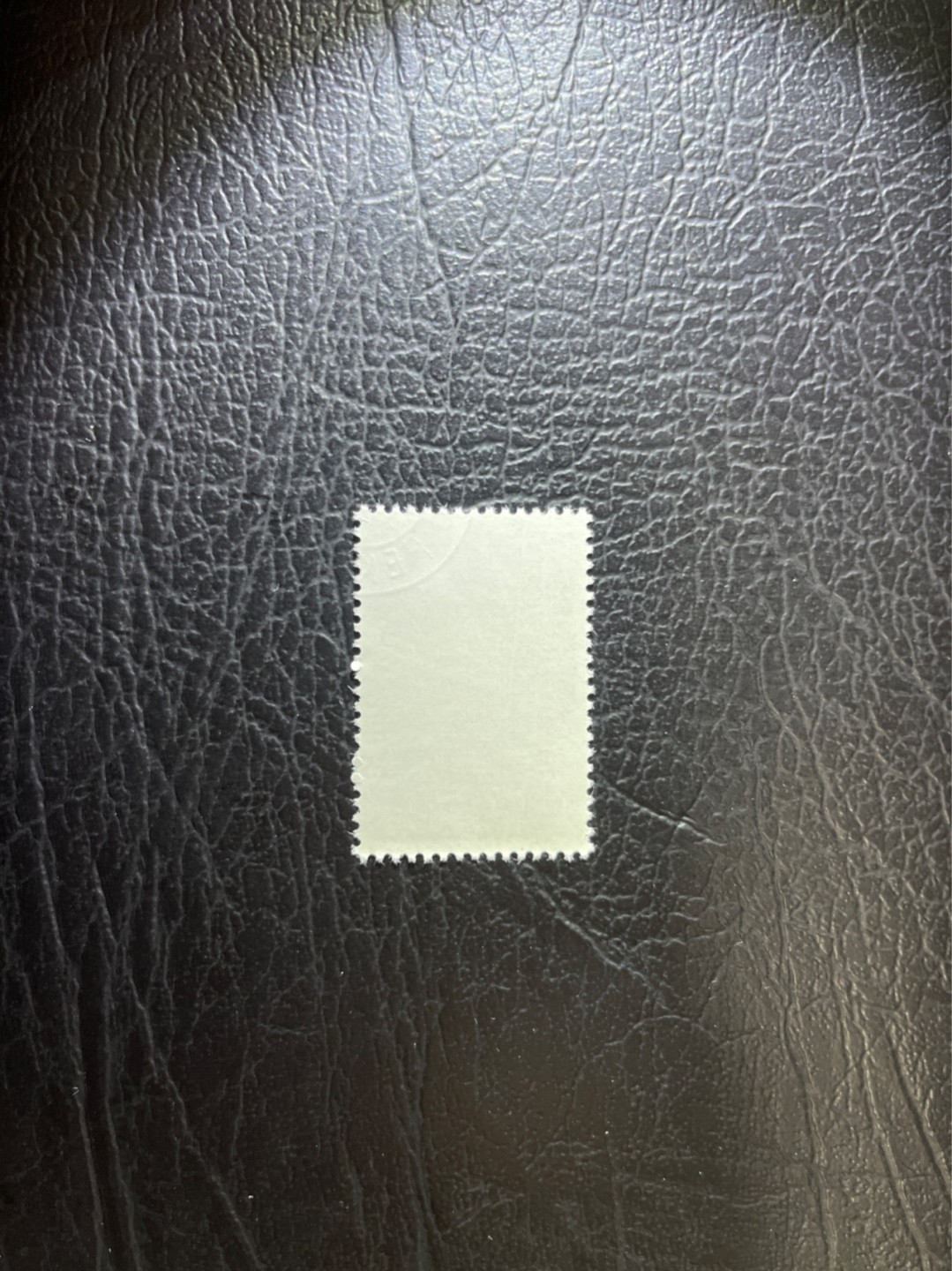 洪涛臻品 精选邮票限时拍卖第四十八期 特56蝴蝶盖销  20-10一枚，版撕全品嘎嘎绝，钢戳，面艳胶白，六珍之一，非常受欢迎的品种，新票价格高，盖销全品不要错过