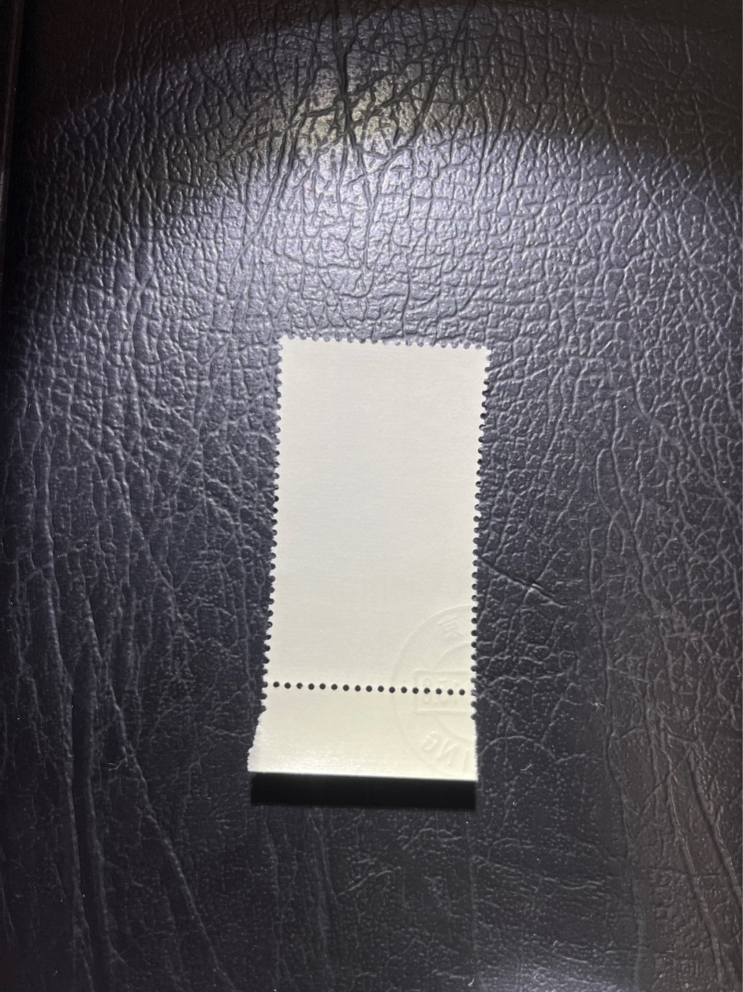 洪涛臻品 精选邮票限时拍卖第四十八期 特68新安江4-2盖销  厂名  钢戳 三俗稀缺，版撕全品嘎嘎绝。  解放初的经典票，整版撕开，面艳胶白，票挺洁净，齿孔完美，收藏评级两相宜，且有高附加值边纸。老纪特的版票资源十分稀缺难寻，机会来临时必须抓住。