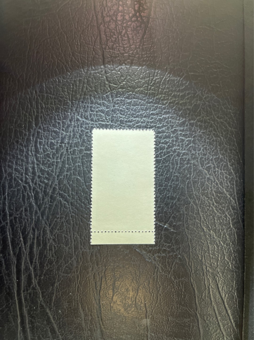 洪涛臻品 精选邮票限时拍卖第四十八期 特54儿童 盖销 12-2   一 枚，版撕全品嘎嘎绝， 面艳背白，生口，非常漂亮，热门票，草纸小票折痕多，全品数量有限，注意捡漏