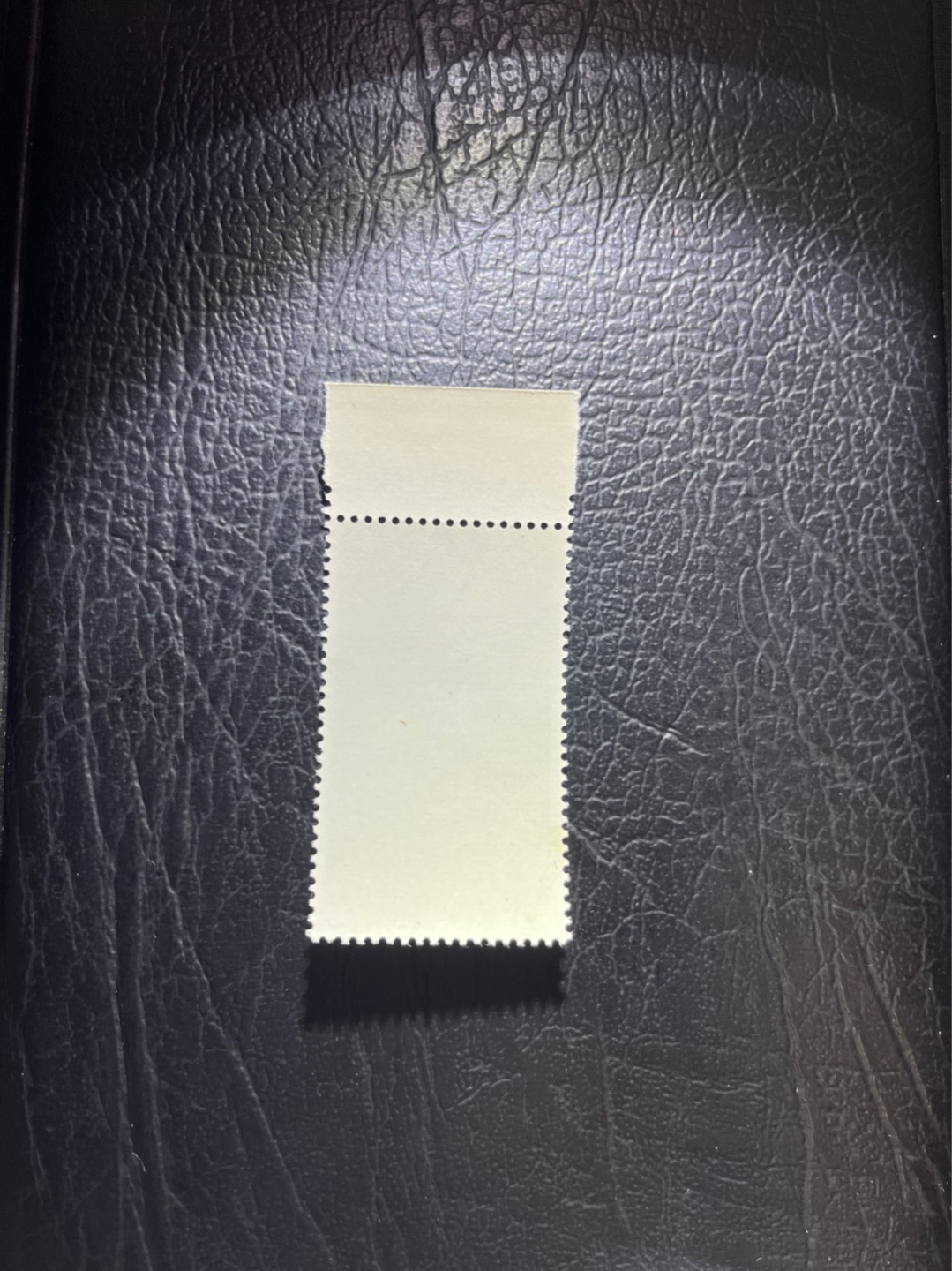 洪涛臻品 精选邮票限时拍卖第五十二期 特68新安江4-3盖销，数字➕厂名  三俗稀缺，版撕全品嘎嘎绝，背胶雪白。解放初的经典票，整版撕开，面艳胶白，票挺洁净，齿孔完美，收藏评级两相宜，且有高附加值边纸。老纪特的版票资源十分稀缺难寻，机会来临时必须抓住。   