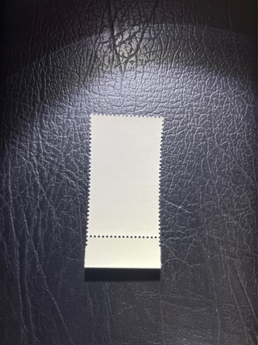 洪涛臻品 精选邮票限时拍卖第五十二期 特68新安江4-2盖销  厂名  钢戳 三俗稀缺，版撕全品嘎嘎绝。  解放初的经典票，整版撕开，面艳胶白，票挺洁净，齿孔完美，收藏评级两相宜，且有高附加值边纸。老纪特的版票资源十分稀缺难寻，机会来临时必须抓住。